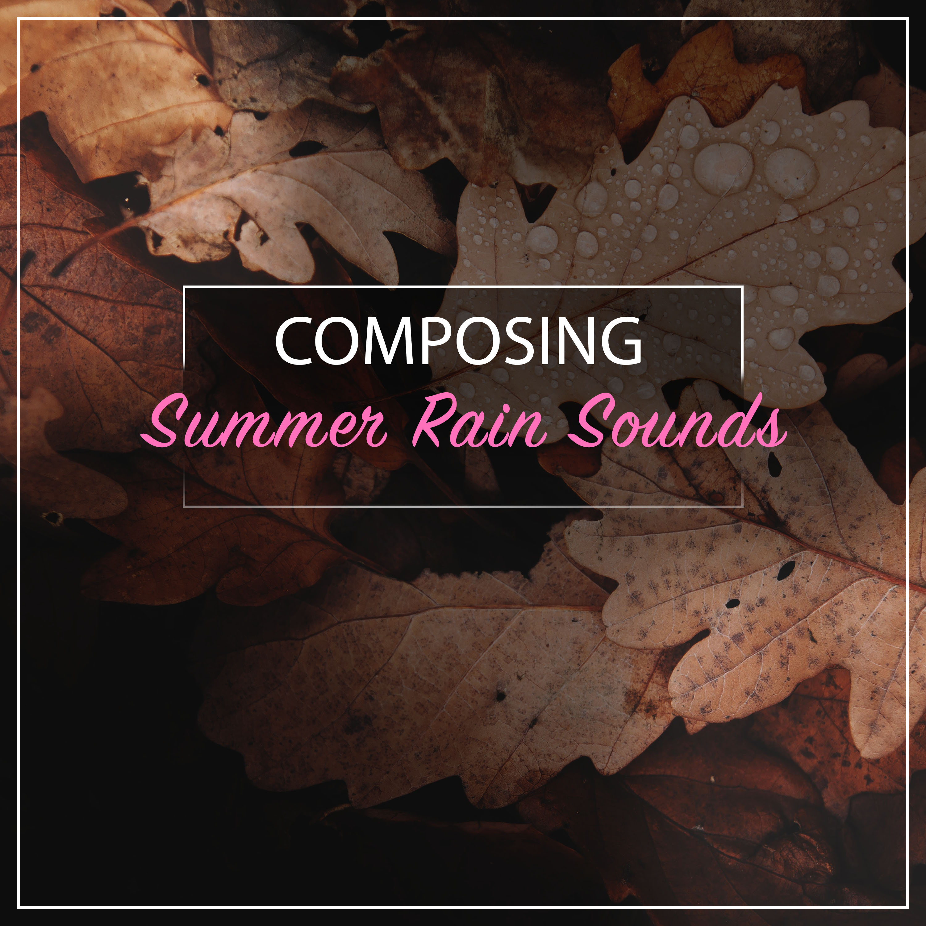 #1 Hour of Composing Summer Rain Sounds