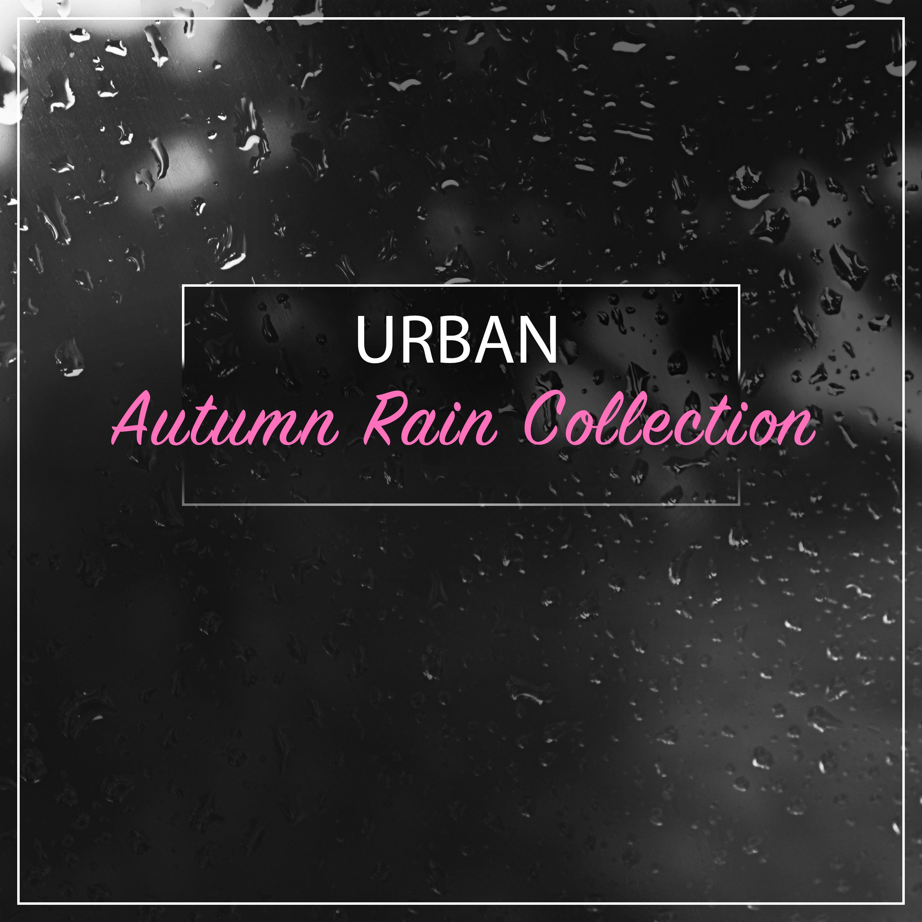 #16 Urban Autumn Rain Collection