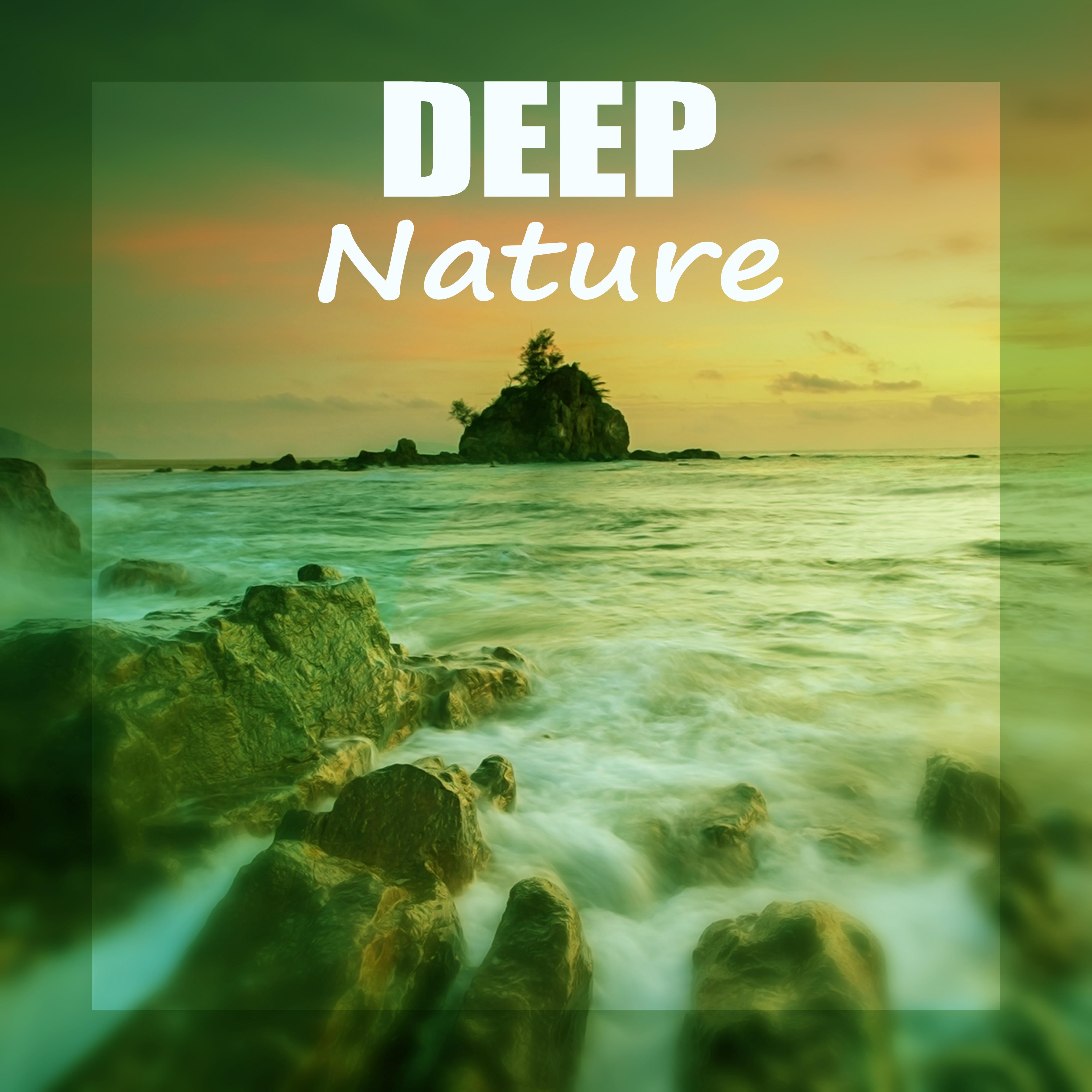 Deep Nature  Calm Sounds, Relaxation, New Age, Nature Sounds, Water Sound, Massage Sounds, Meditation, Reduce Stress