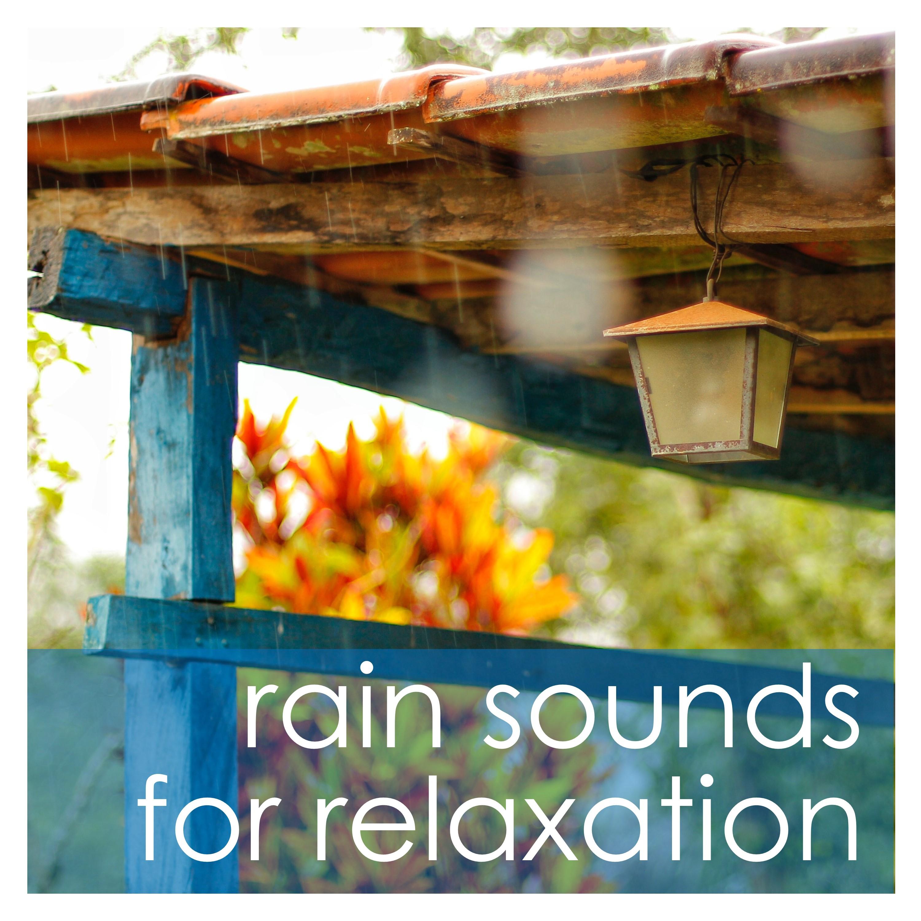 16 Ambient Meditation and Deep Sleep Rain Sounds