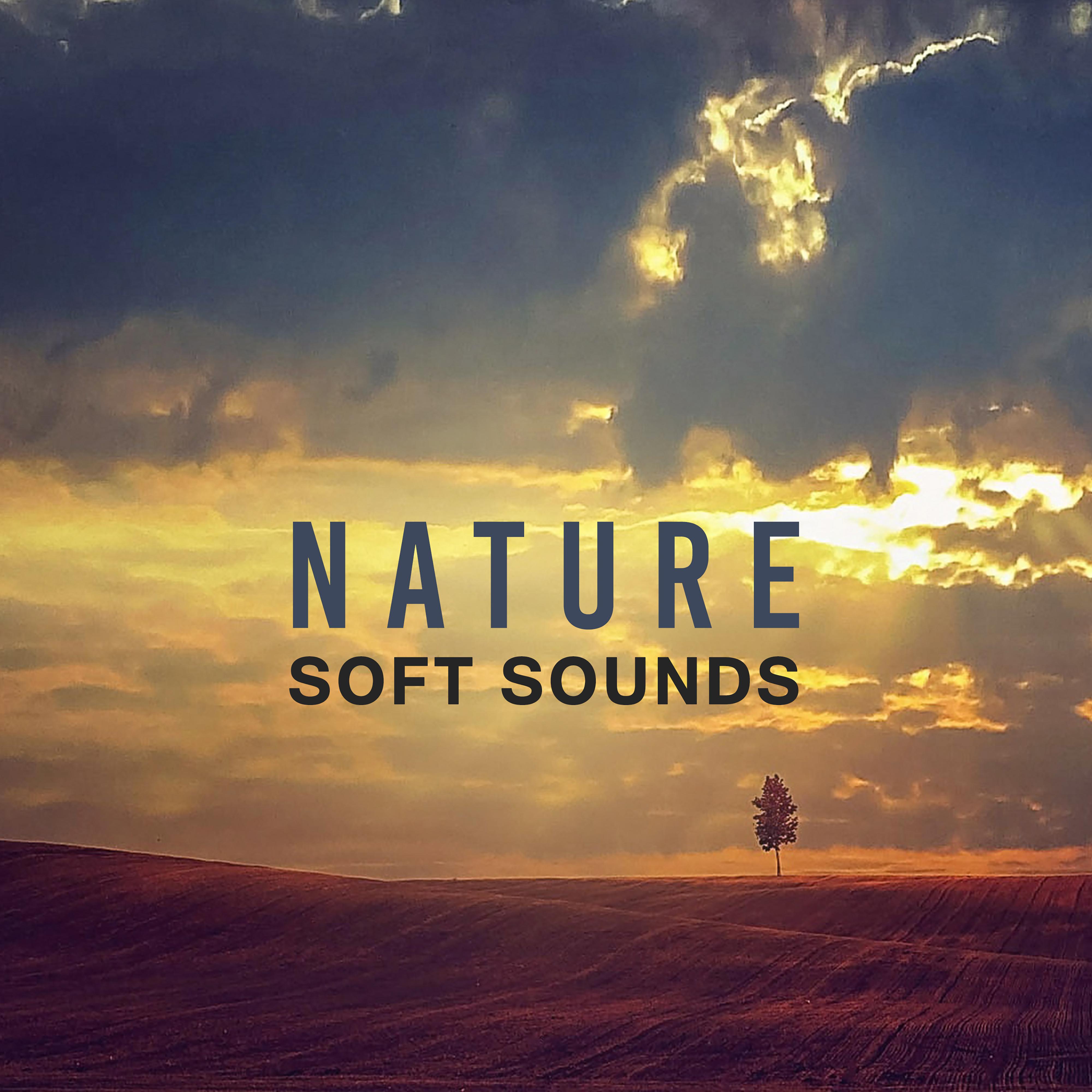Nature Soft Sounds  Calm Down with Nature Music, New Age Relaxation, Chill Yourself, Inner Balance