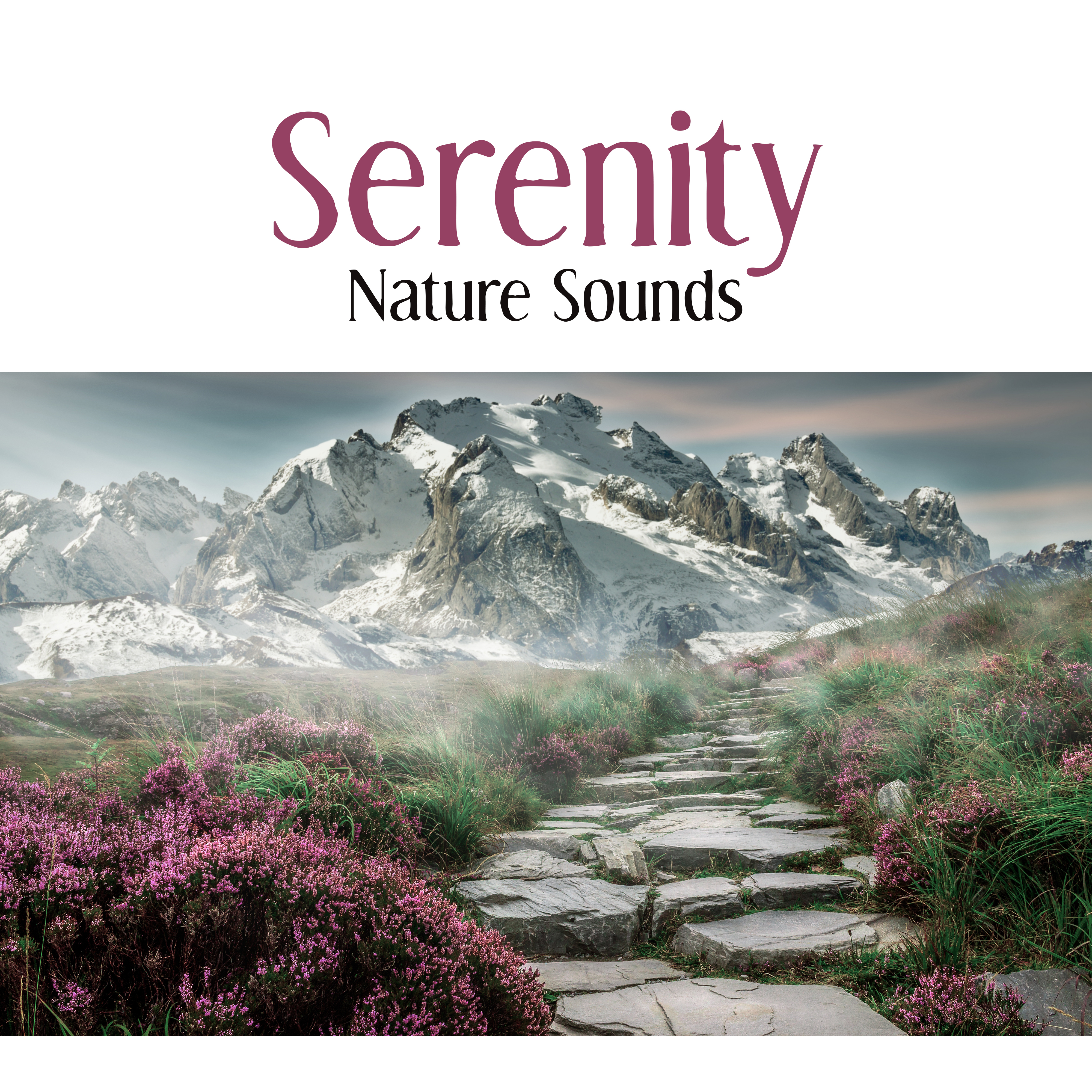 Serenity Nature Sounds  Relaxing Music Therapy, New Age 2017, Meditation, Relaxation, Zen Power
