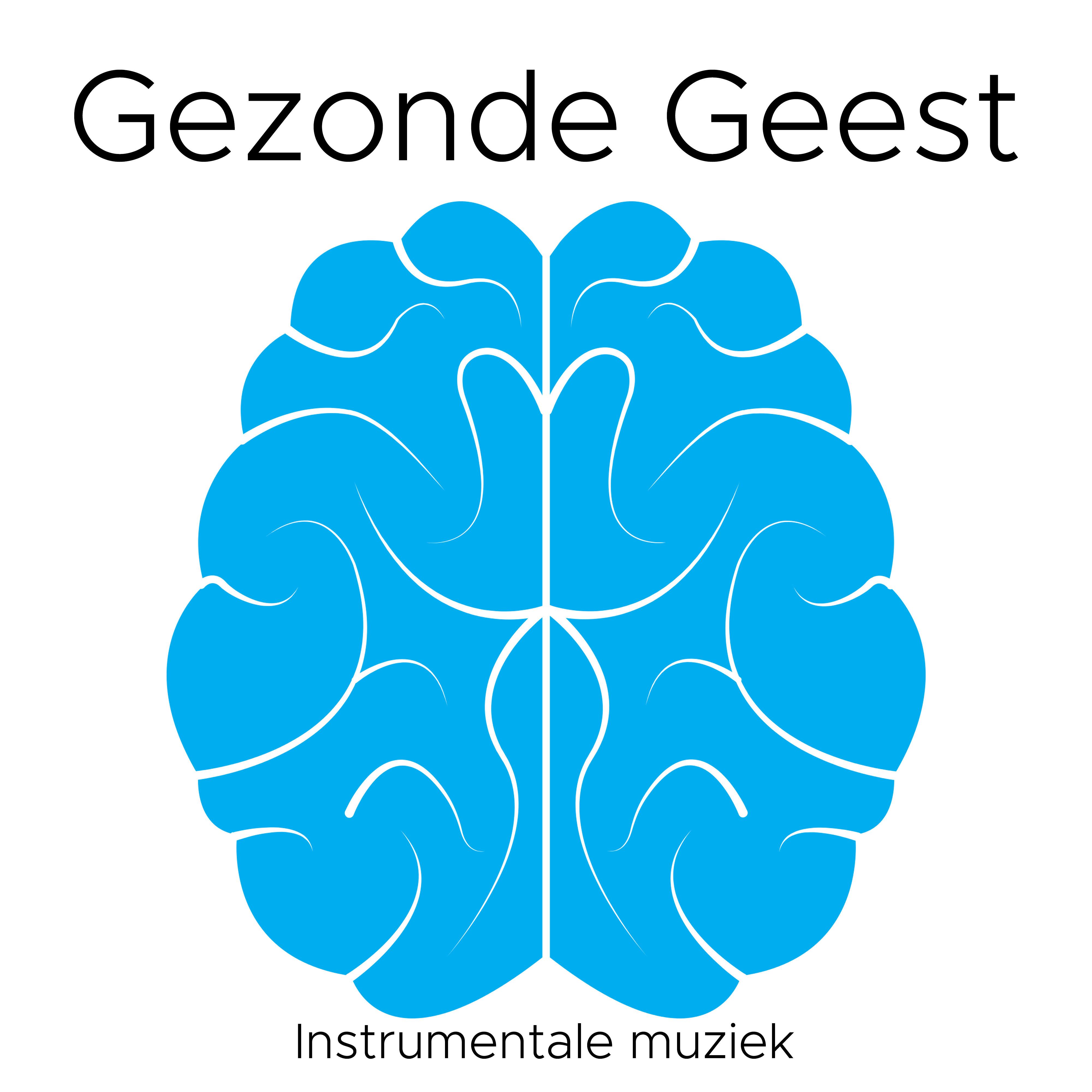 Gezonde Geest: Instrumentale muziek om rust en Ontspanning te Vinden.