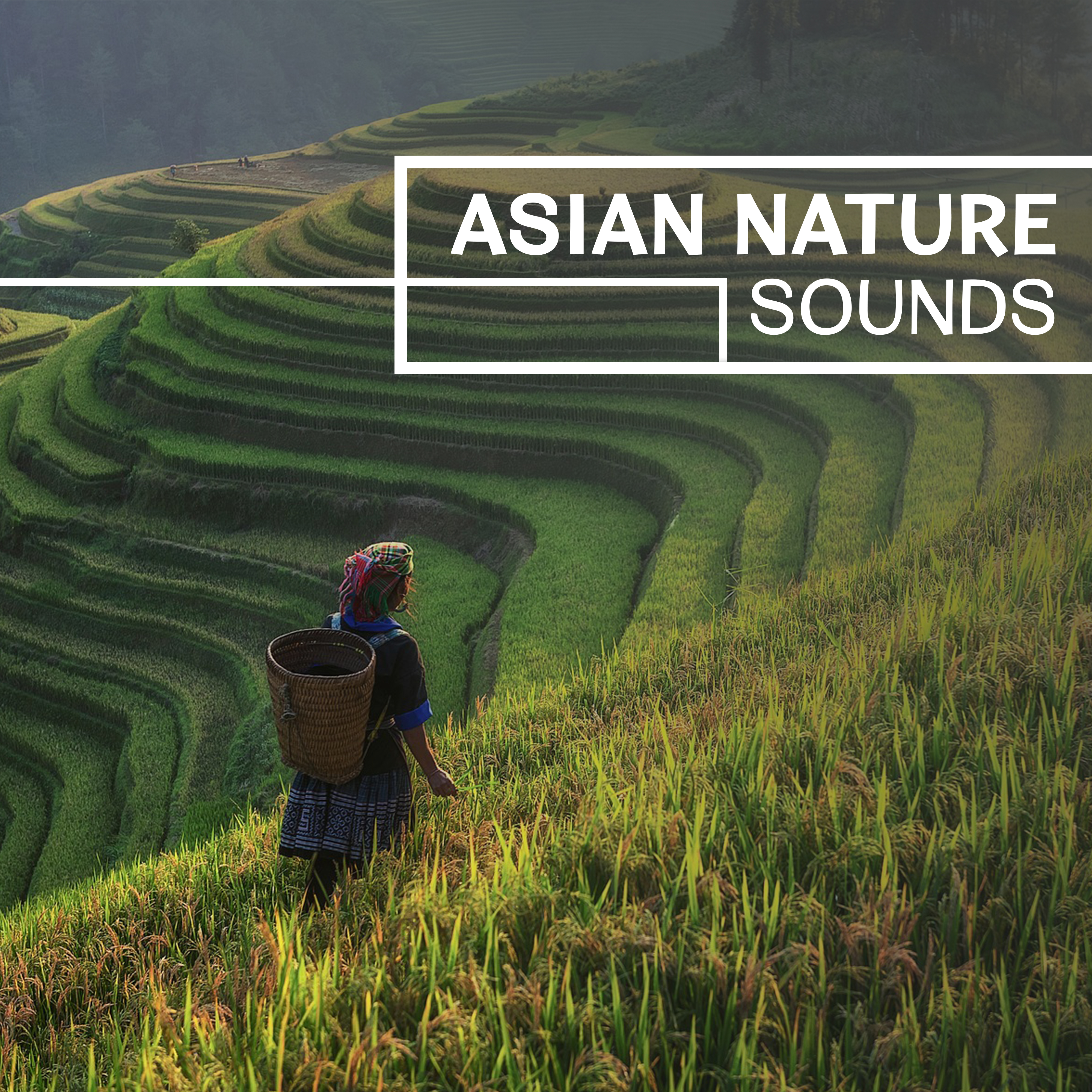 Asian Nature Sounds  Calm Sounds of Nature, Natural Relaxation, Natural Ambient Music, Spiritual Nature