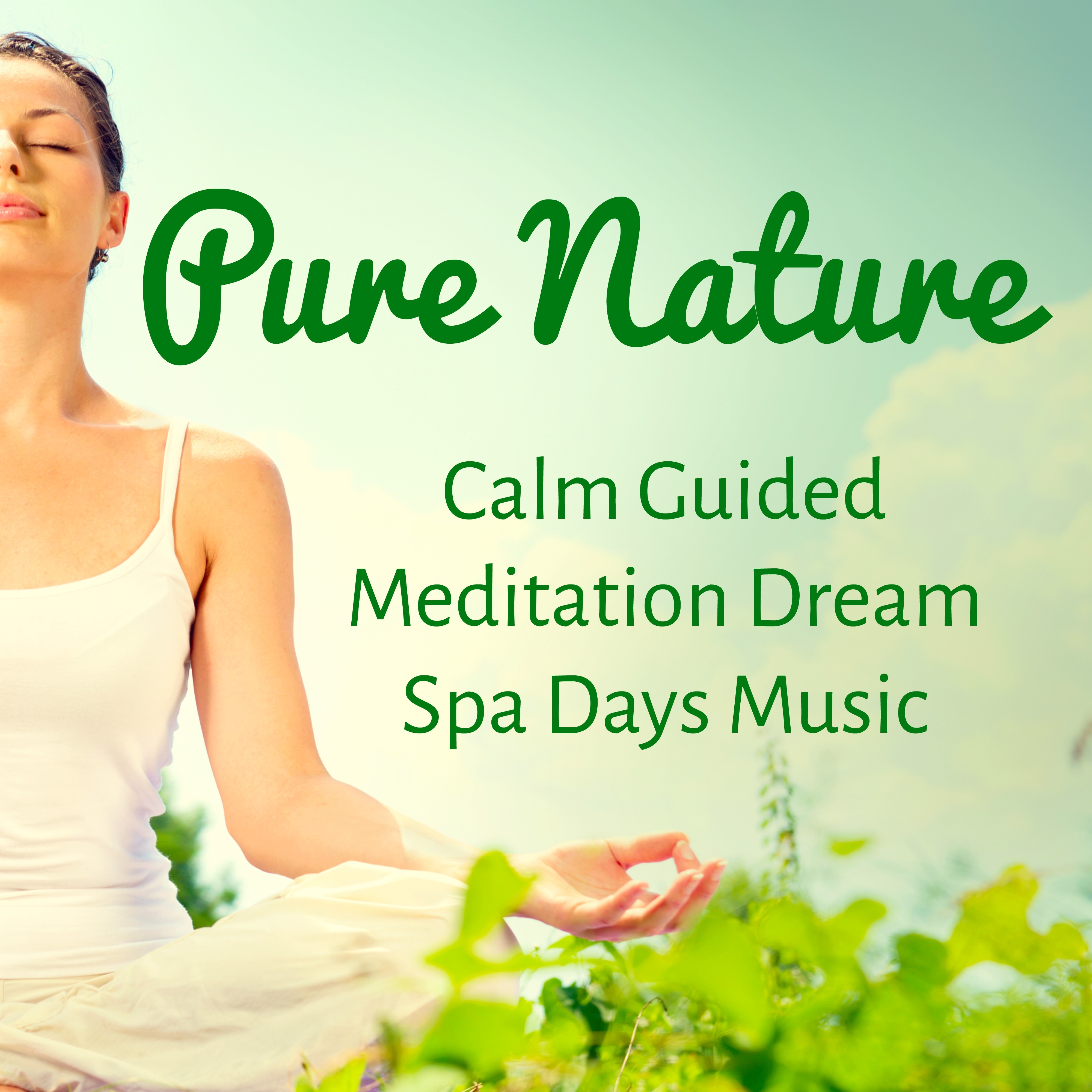 Pure Nature - Calm Guided Meditation Dream Spa Days Music to Increase Brain Power Spiritual Training and Zen Style