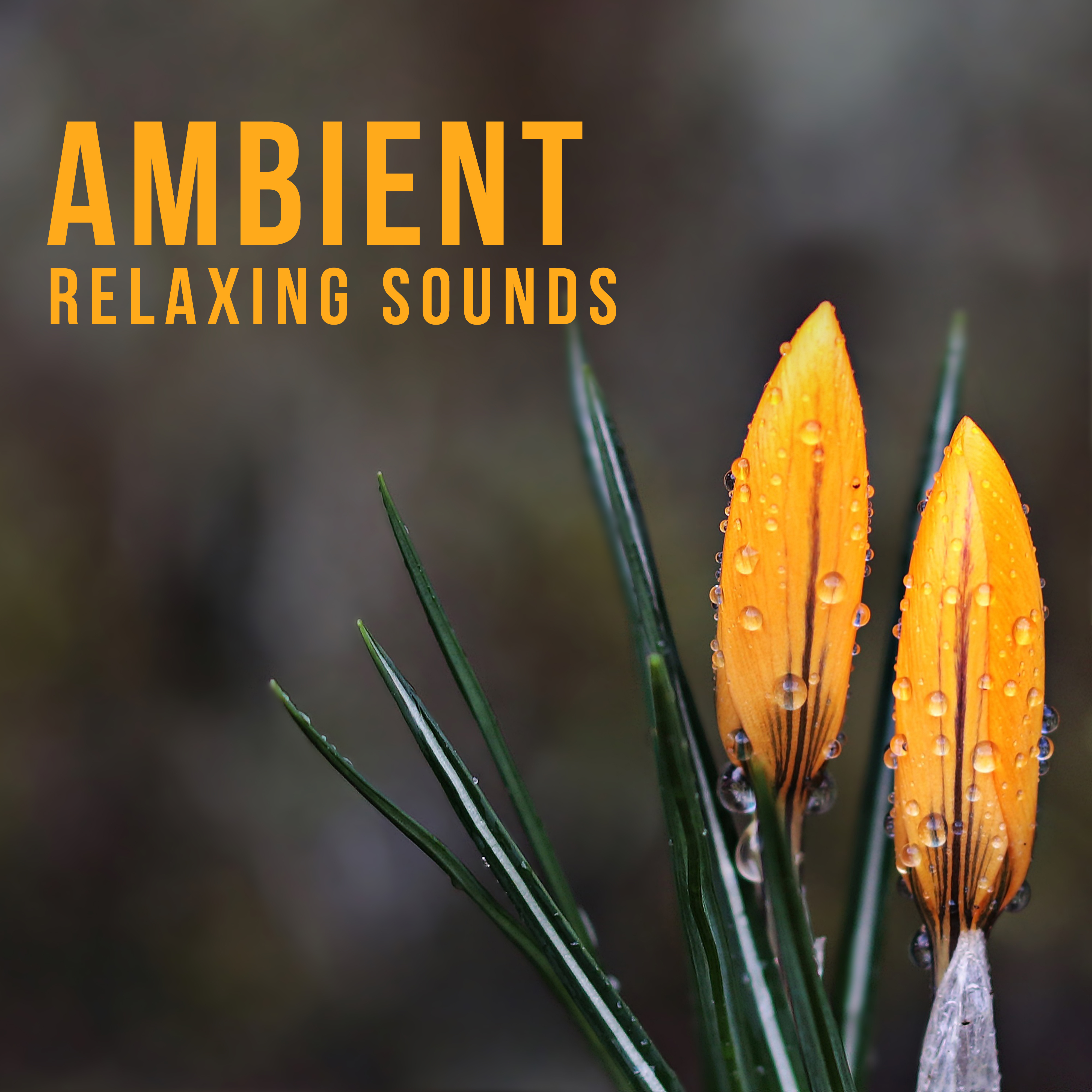 Ambient Relaxing Sounds  Relaxing Music for Lazy Day, Soothing New Age Sounds, Rest Your Mind, Soul Harmony