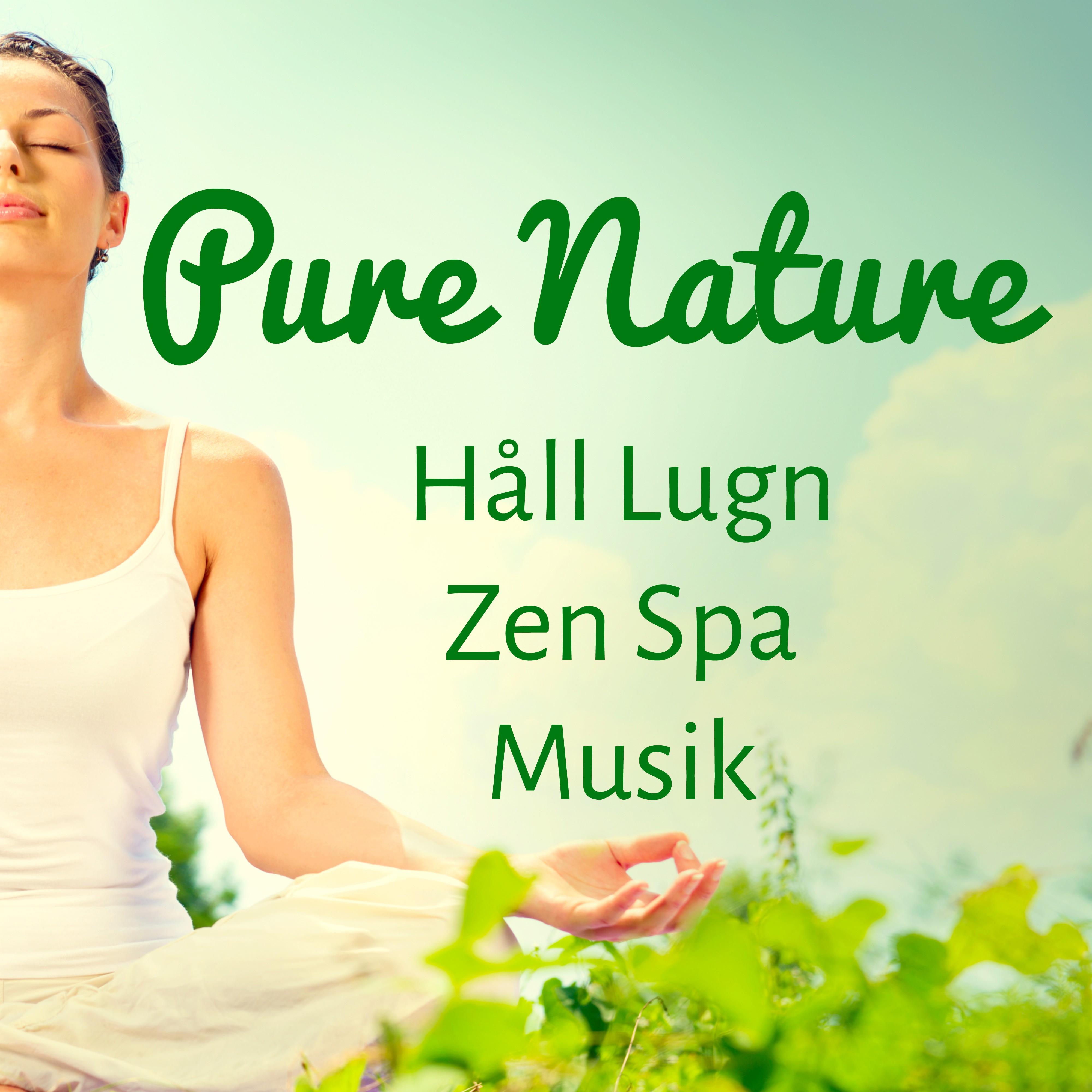 Pure Nature  H ll Lugn Zen Spa Musik f r ka Hj rnkapacitet V gledd Meditation och Andlig Tr ning