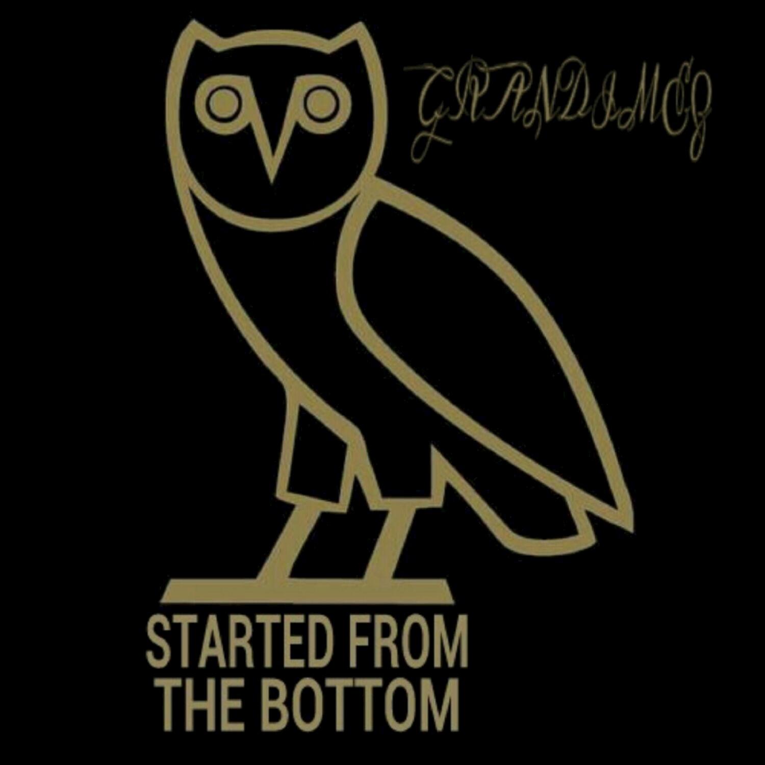 Started from the Bottom - Single
