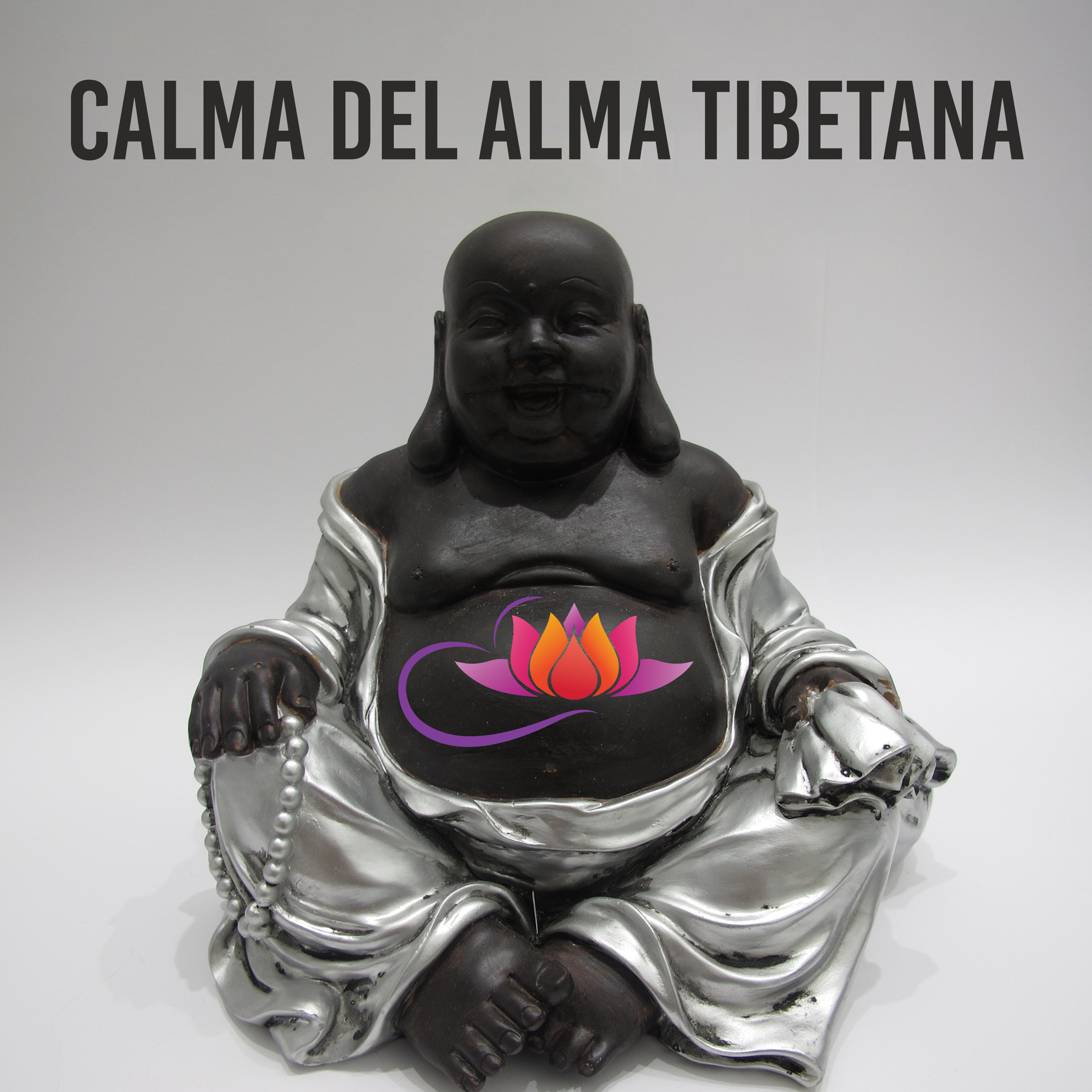 Calma del alma tibetana  Santuario de meditacio n, Mi stico zen, Despertar del espi ritu, Cuencos de reflexio n, Mantra budista