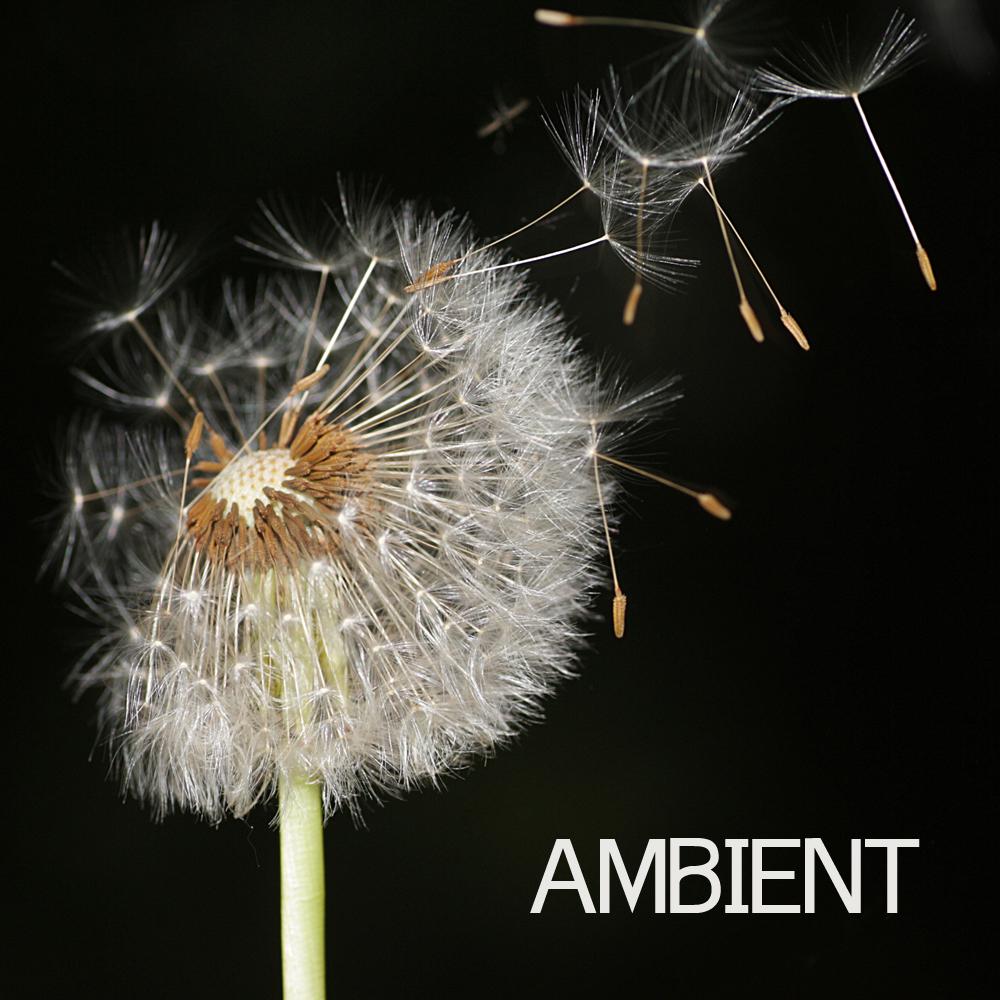 Ambient - Ambient Music and Ambient Sounds for Relaxation Meditation, Spa, Massage and Yoga