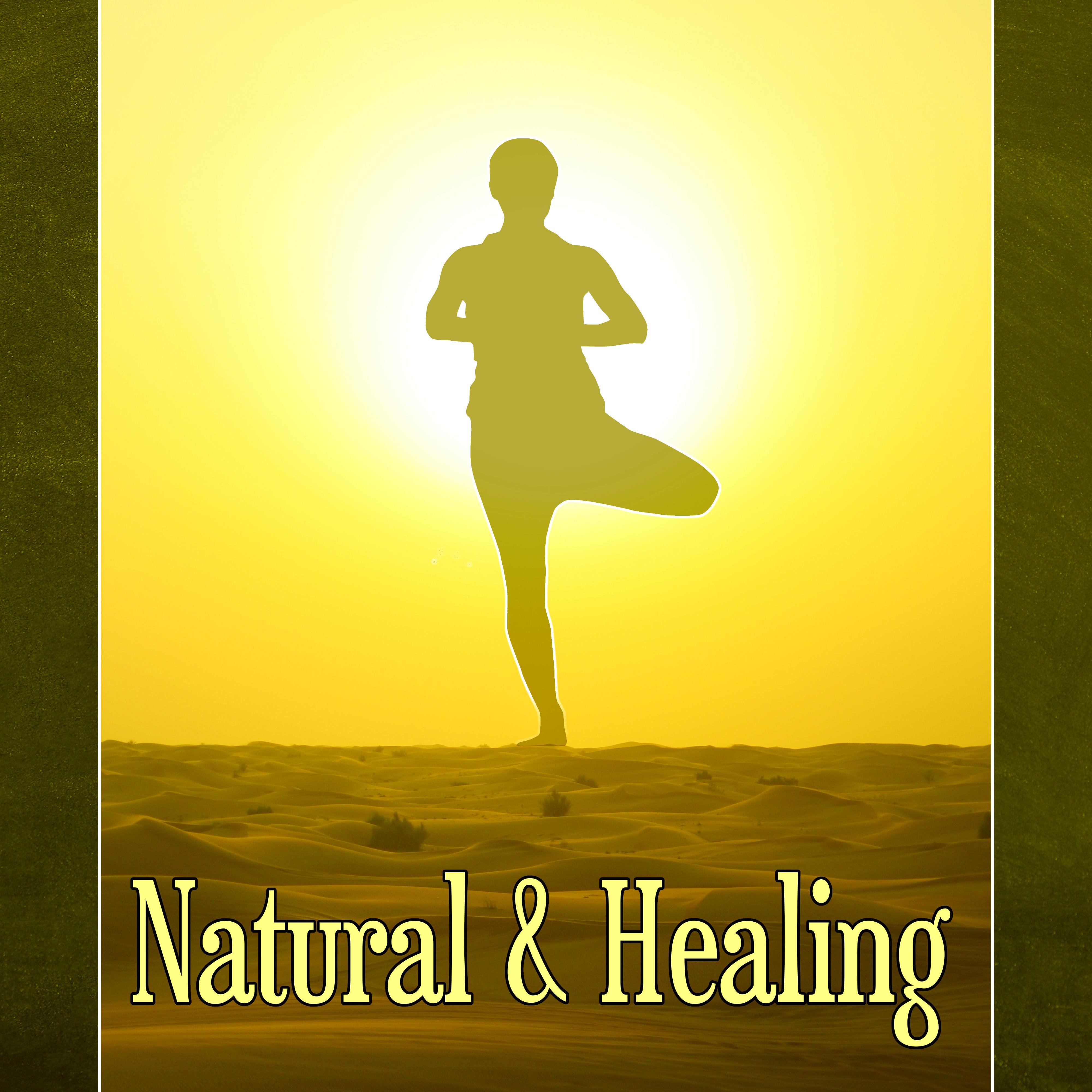 Natural  Healing  Natural Spa Adventure, Healing Massage, Peaceful Music for Deep Zen Meditation  Well Being