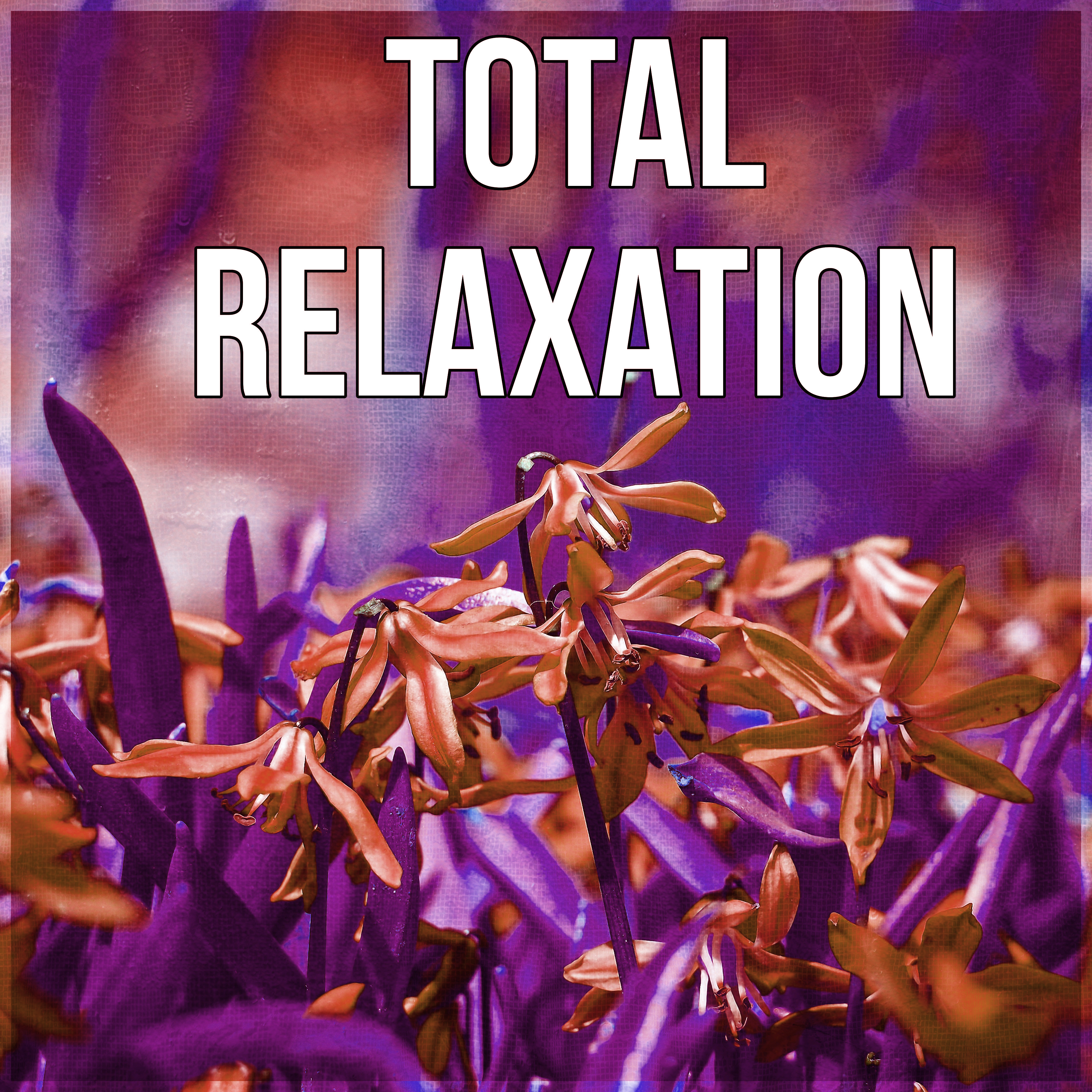 Total Relaxation  Good Day and Relaxing Moments, Smile  Laugh Out Laud with Happy Music, Instrumental Background Music