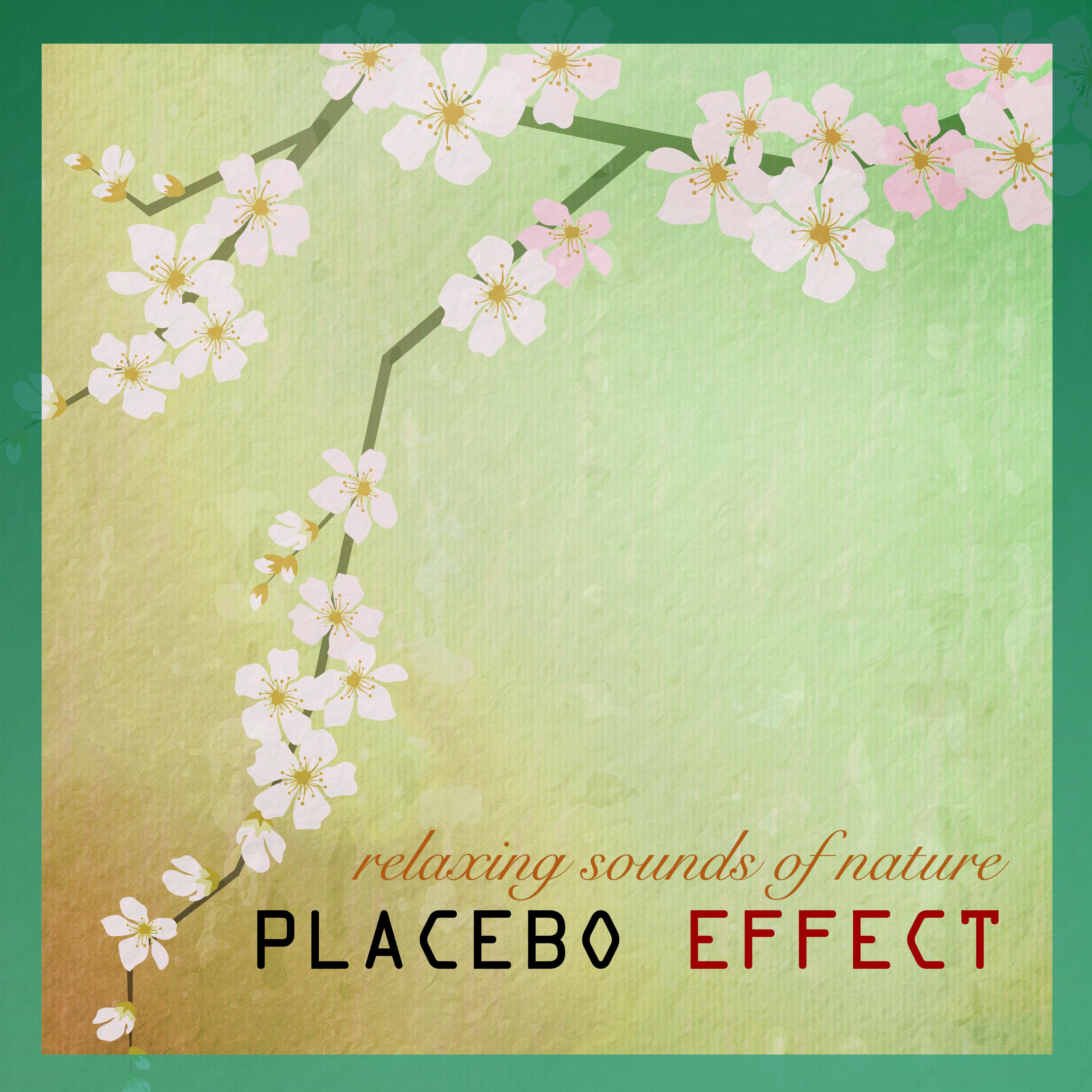Plecebo Effect Sounds of Nature White Noise for Mindfulness Meditation and Relaxation Sound Therapy