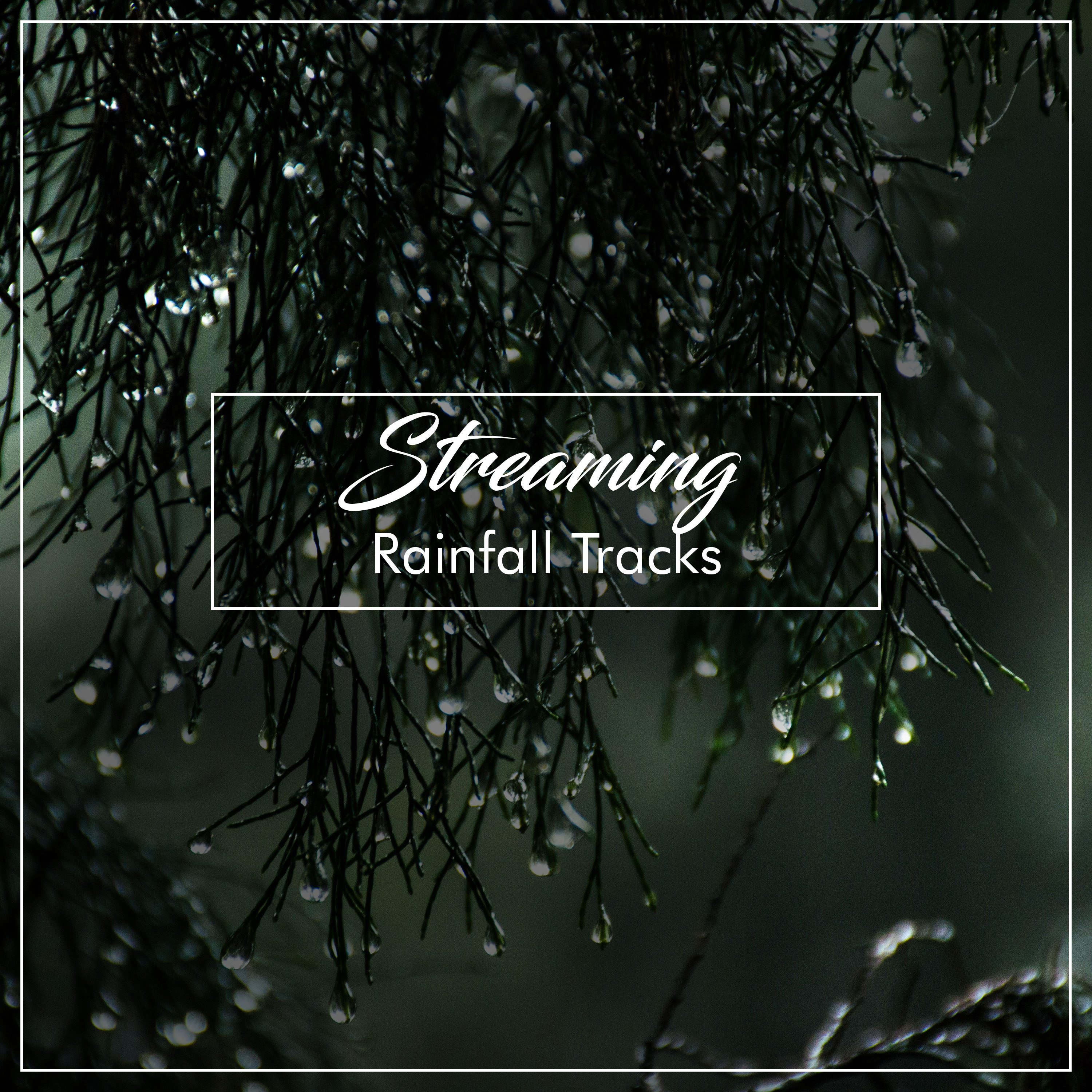 #14 Streaming Rainfall Tracks