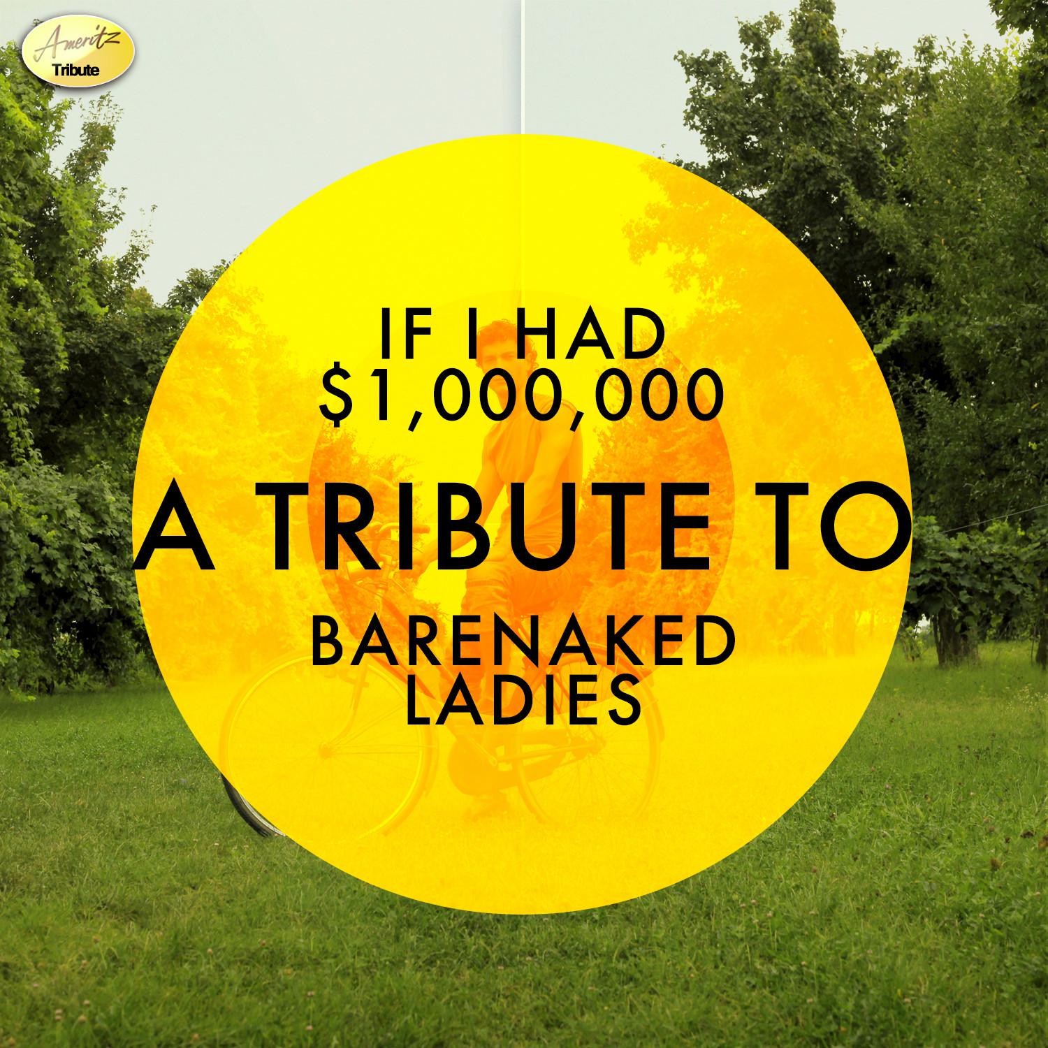 If I had $1,000,000 - A Tribute to Barenaked Ladies