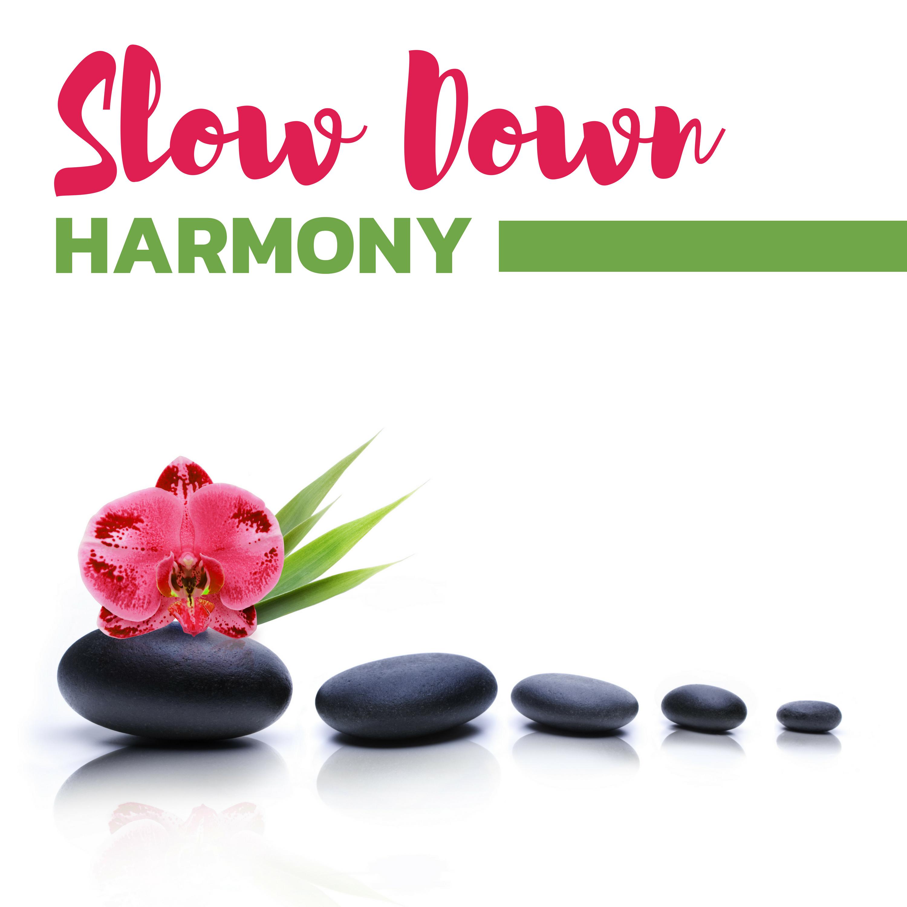 Slow Down Harmony