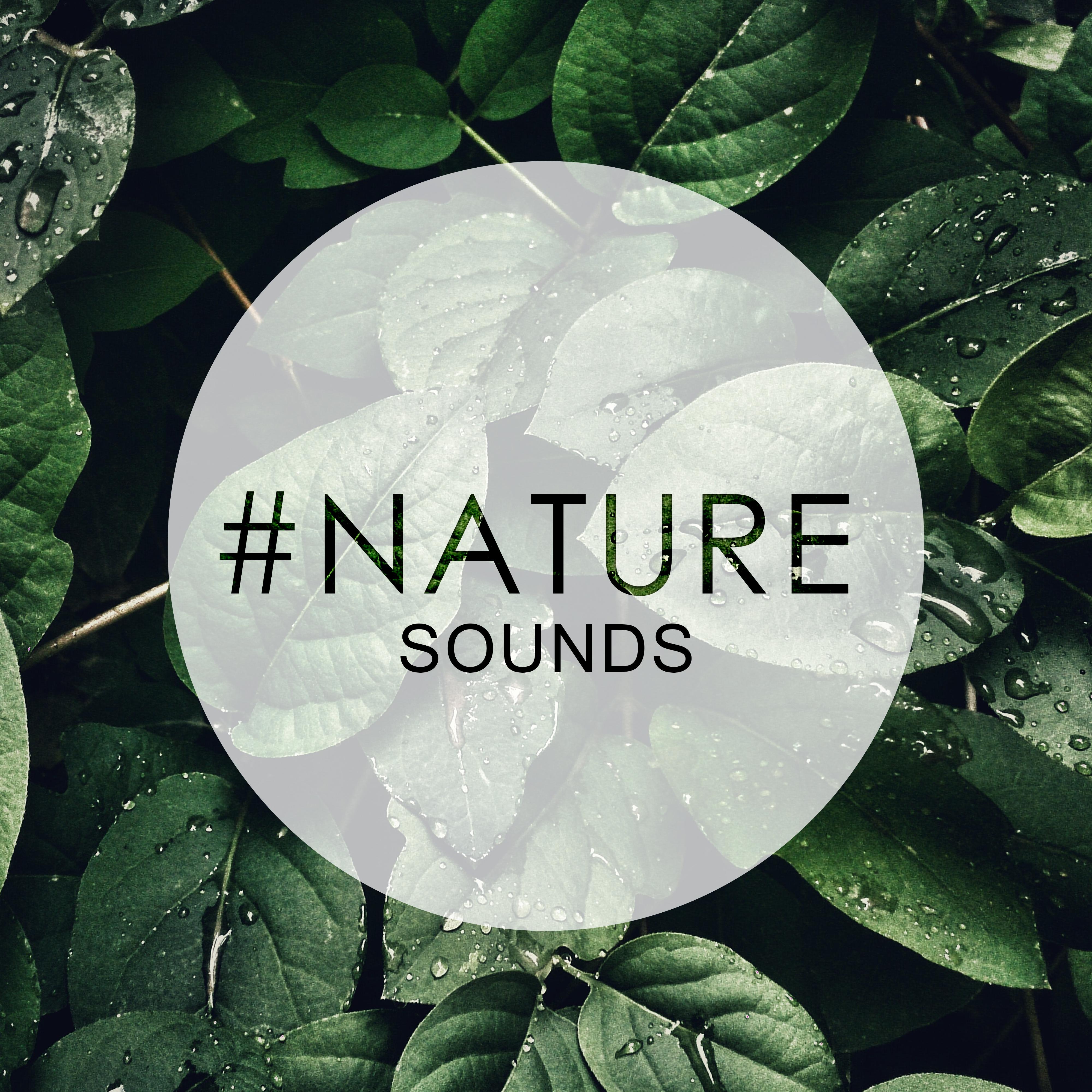 #Nature Sounds