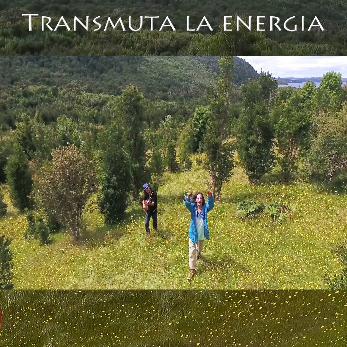 Transmuta la Energi a