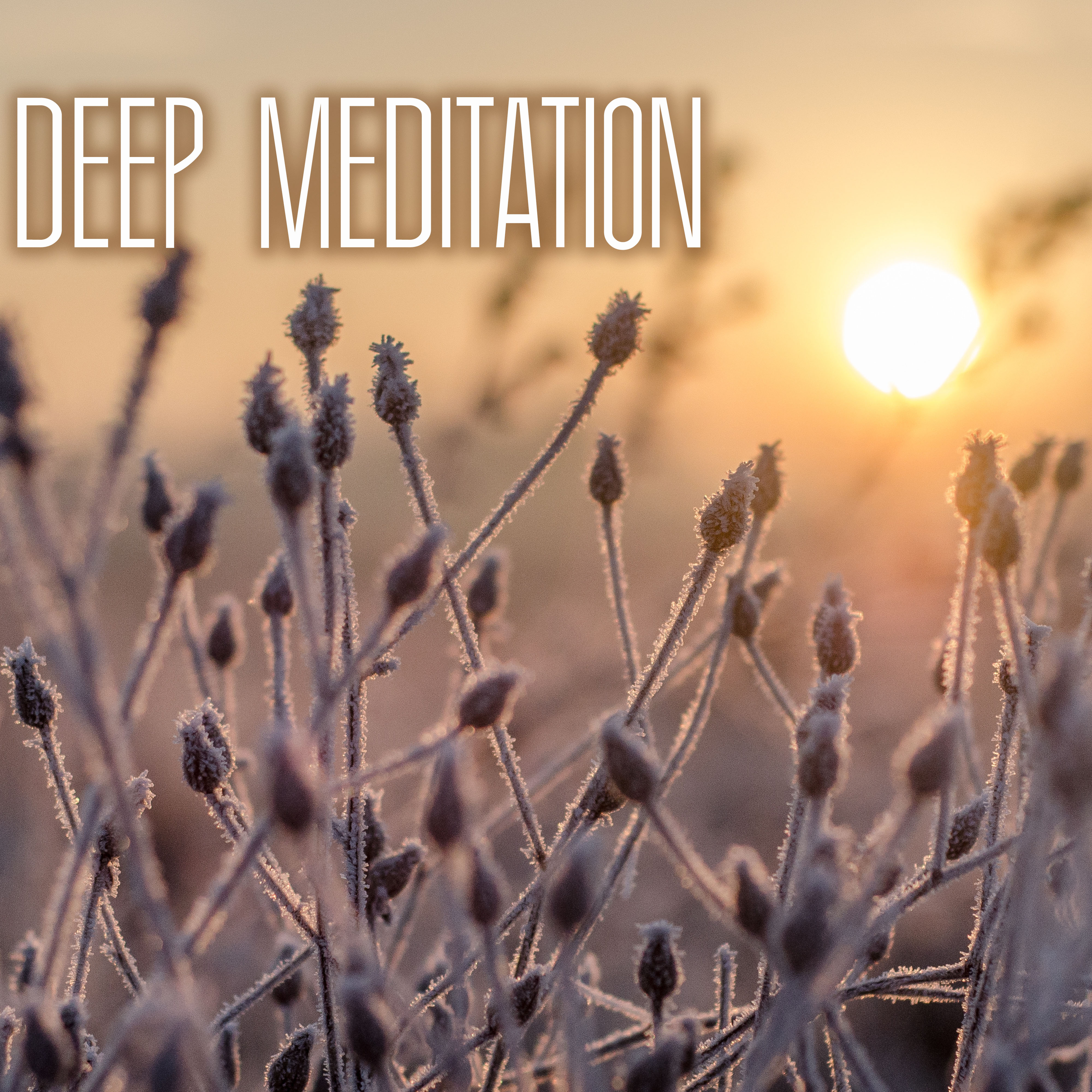 Lullabies for Deep Meditation & Relaxation Through the Night