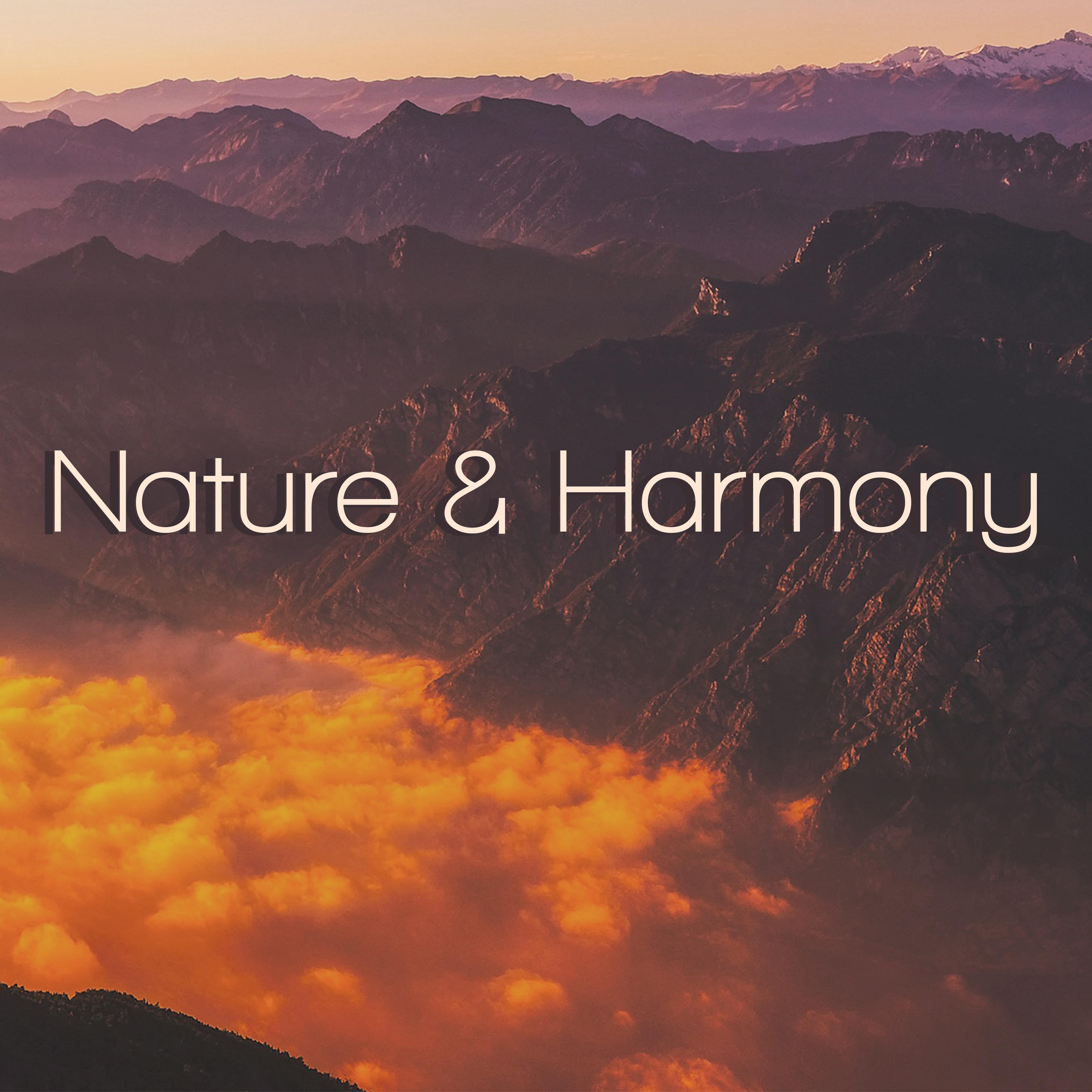 Nature  Harmony  Calmness, New Age Music, Peaceful Mind, Calming Music, Nature Sounds, Zen, Meditation