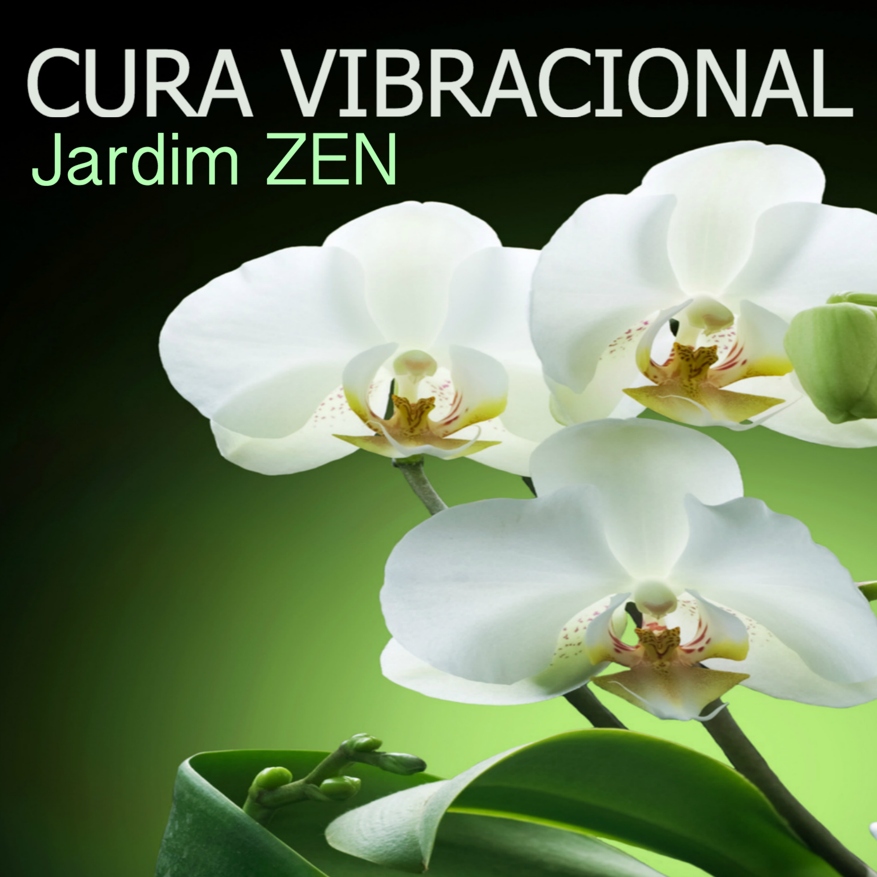 Chakras Espirituais - Musica Instrumental com Sons da Natureza