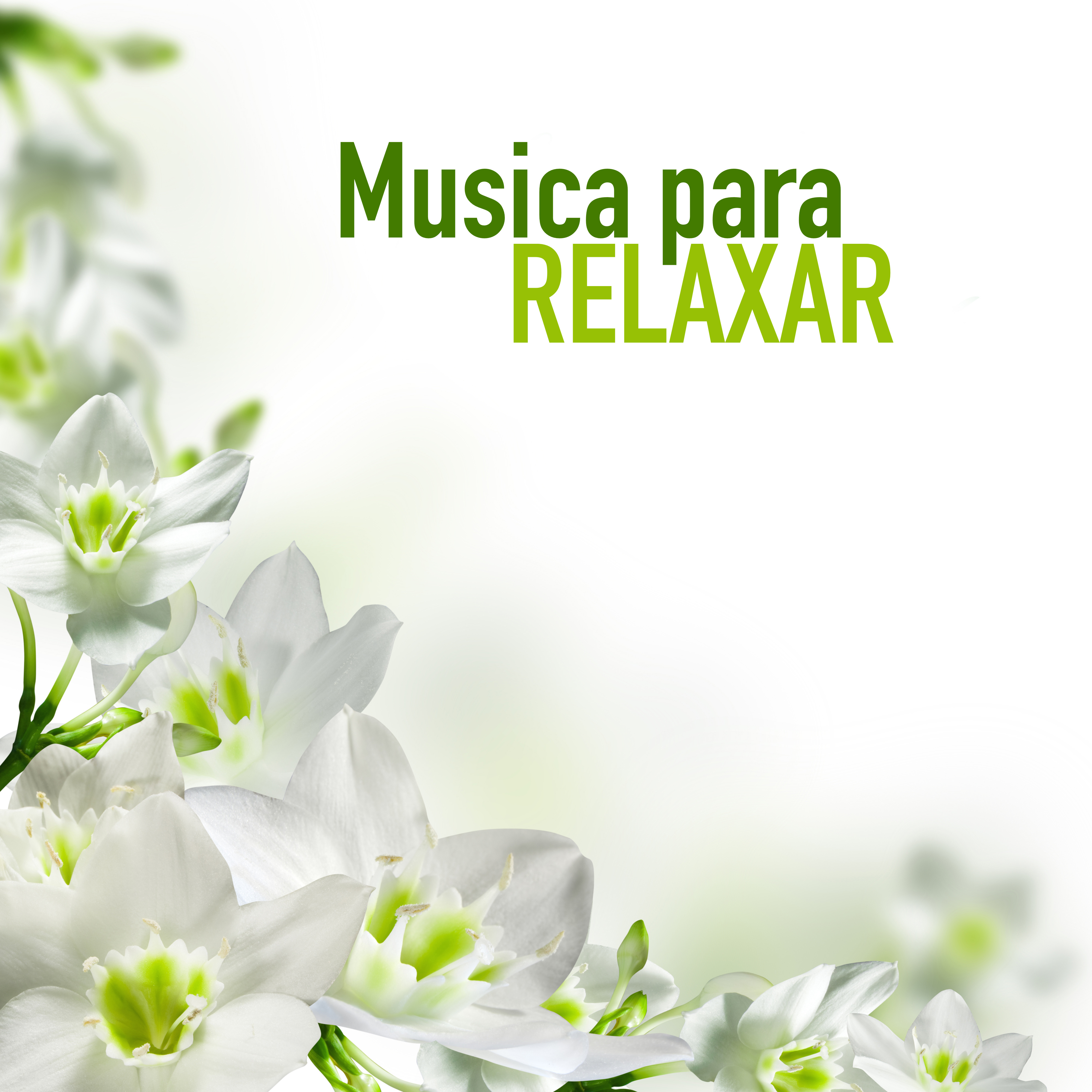 Musica para Relaxamento