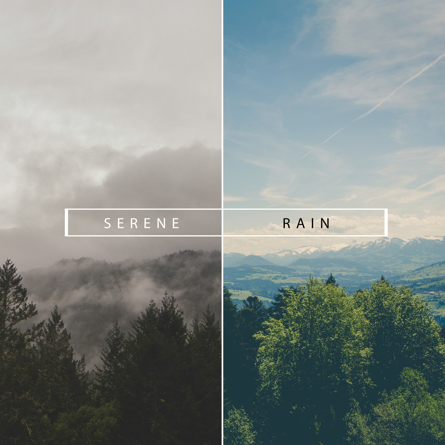 19 Rain Sounds: Serene & Relaxing, Sleep, Spa or Study Music