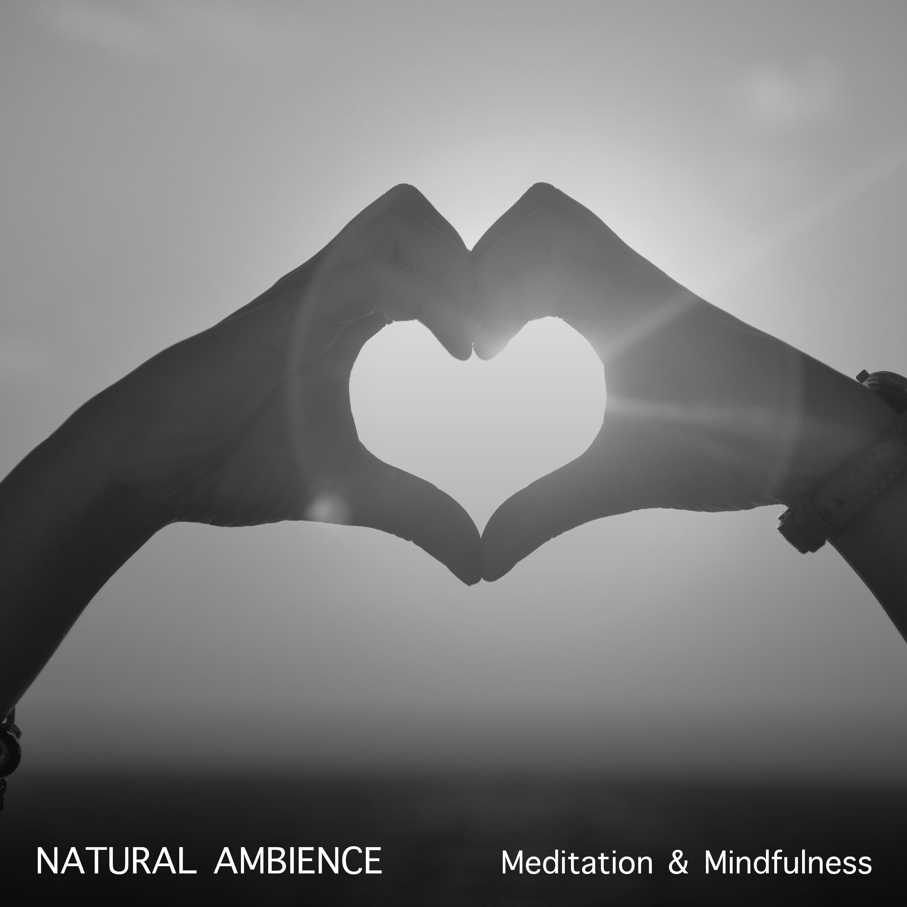21 Natural Ambience for Meditation and Mindfulness