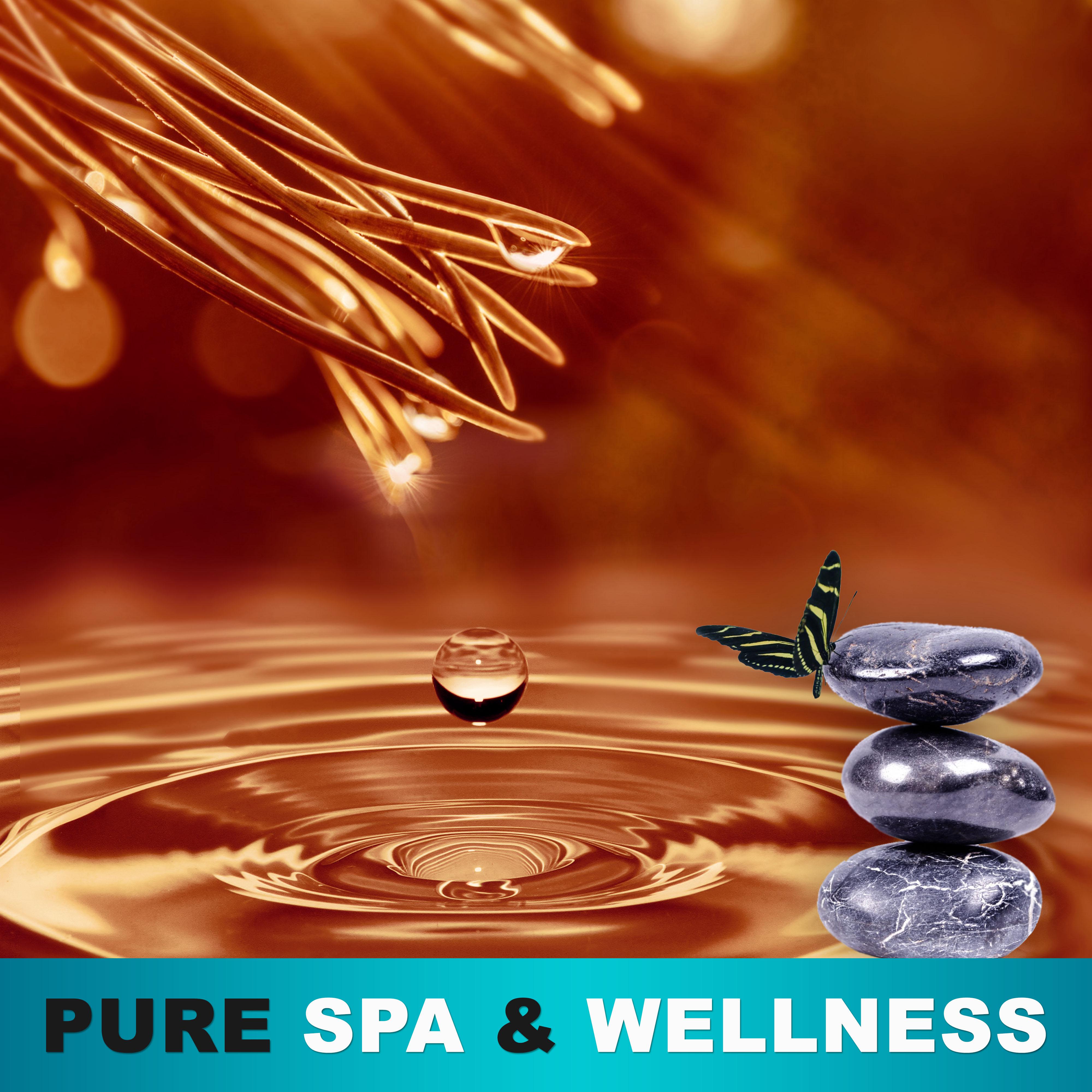 Pure Spa  Wellness  Fabulous Nature Sounds for Deep Relax, Spa  Wellness, Pure Massage