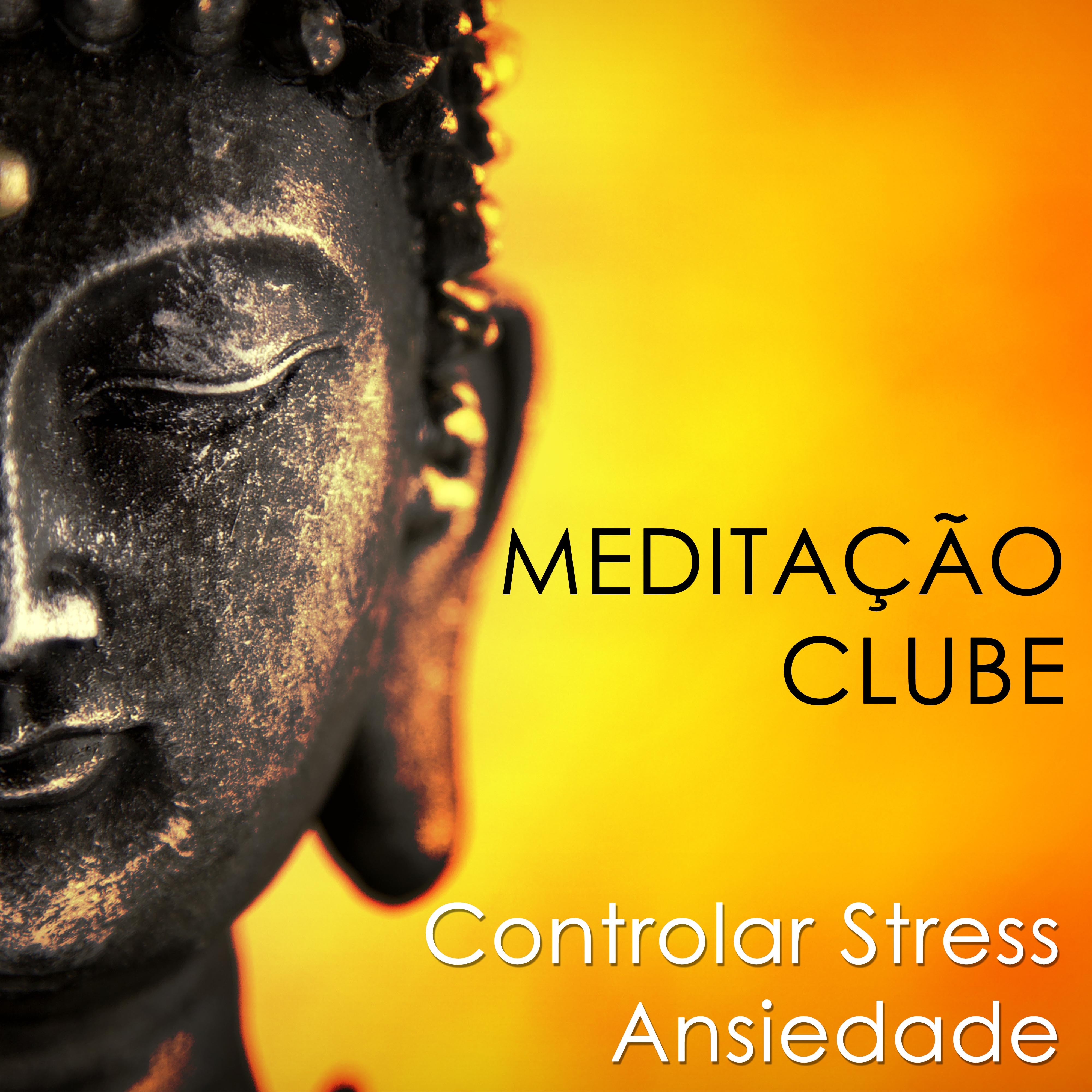 Medita o Clube: O Clube Relaxante, onde voc pode Relaxar, Acalmar a Mente e Eliminar, Controlar o Stress o Ansiedade da sua Vida apo s um Dia Estressante