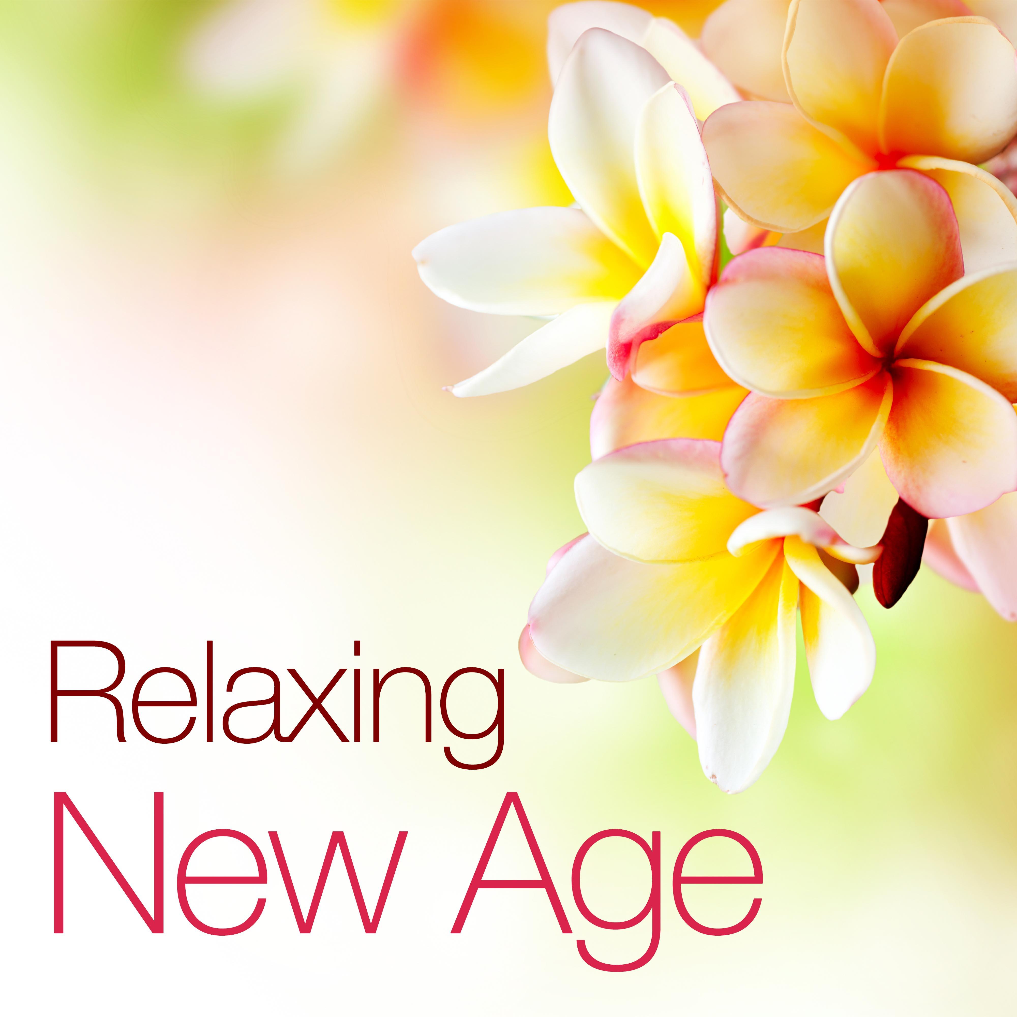 Relaxing New Age: Soothing New Age Vibes for Reiki, Meditation, Spa and Wellness Centers