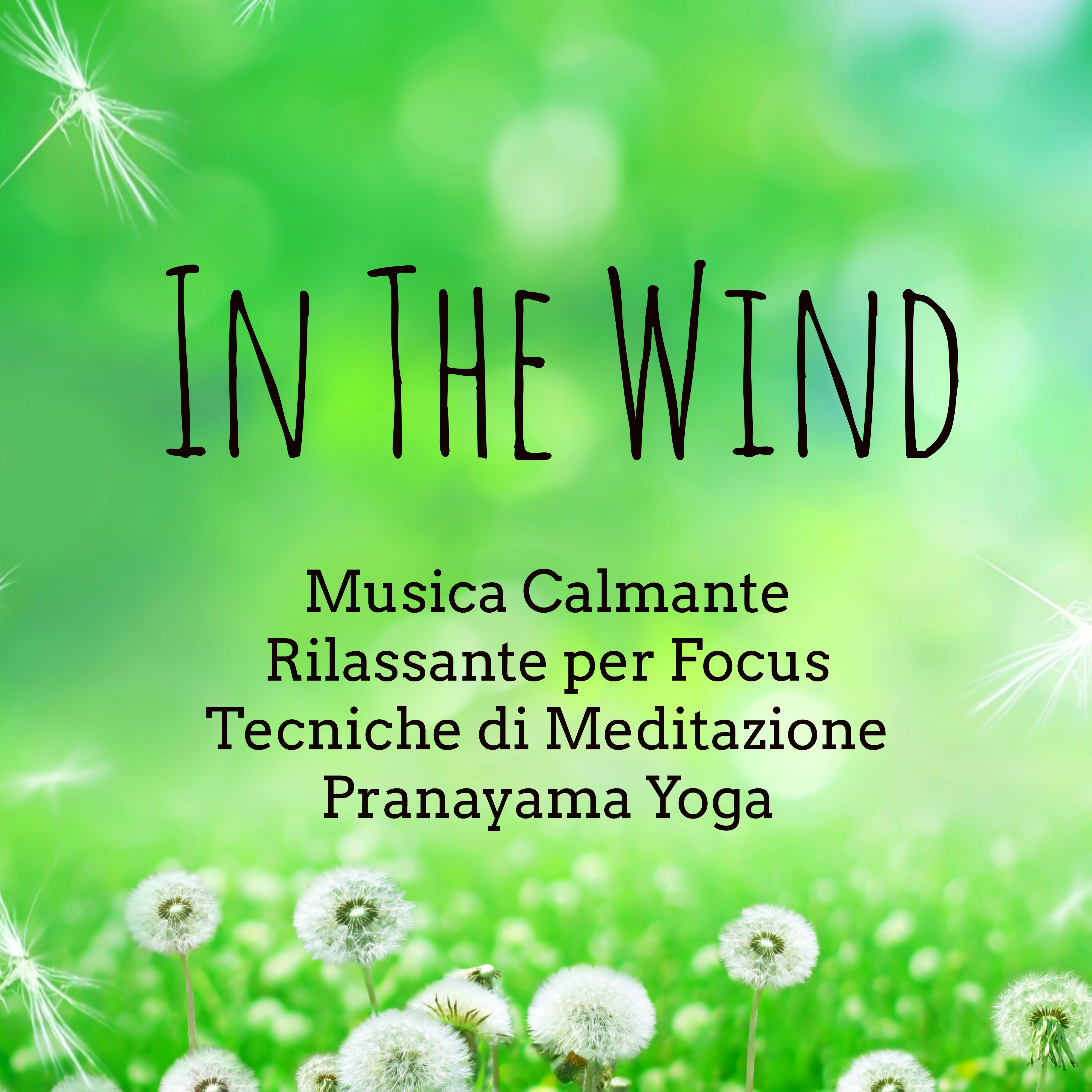 In The Wind - Musica Calmante Rilassante per Focus Tecniche di Meditazione Pranayama Yoga con Suoni Meditativi Strumentali Binaurali