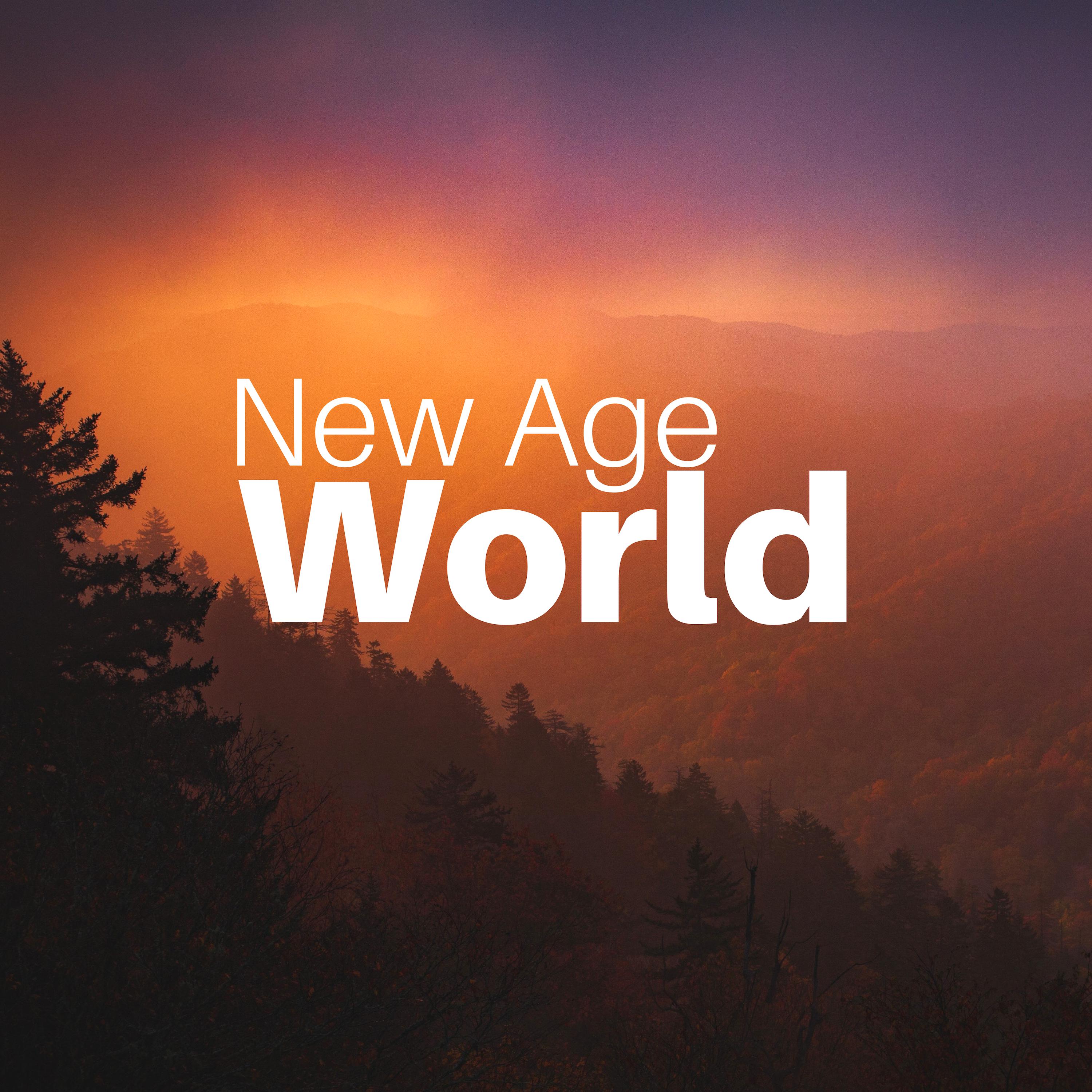 New Age World CD - Background Music for Public Spaces