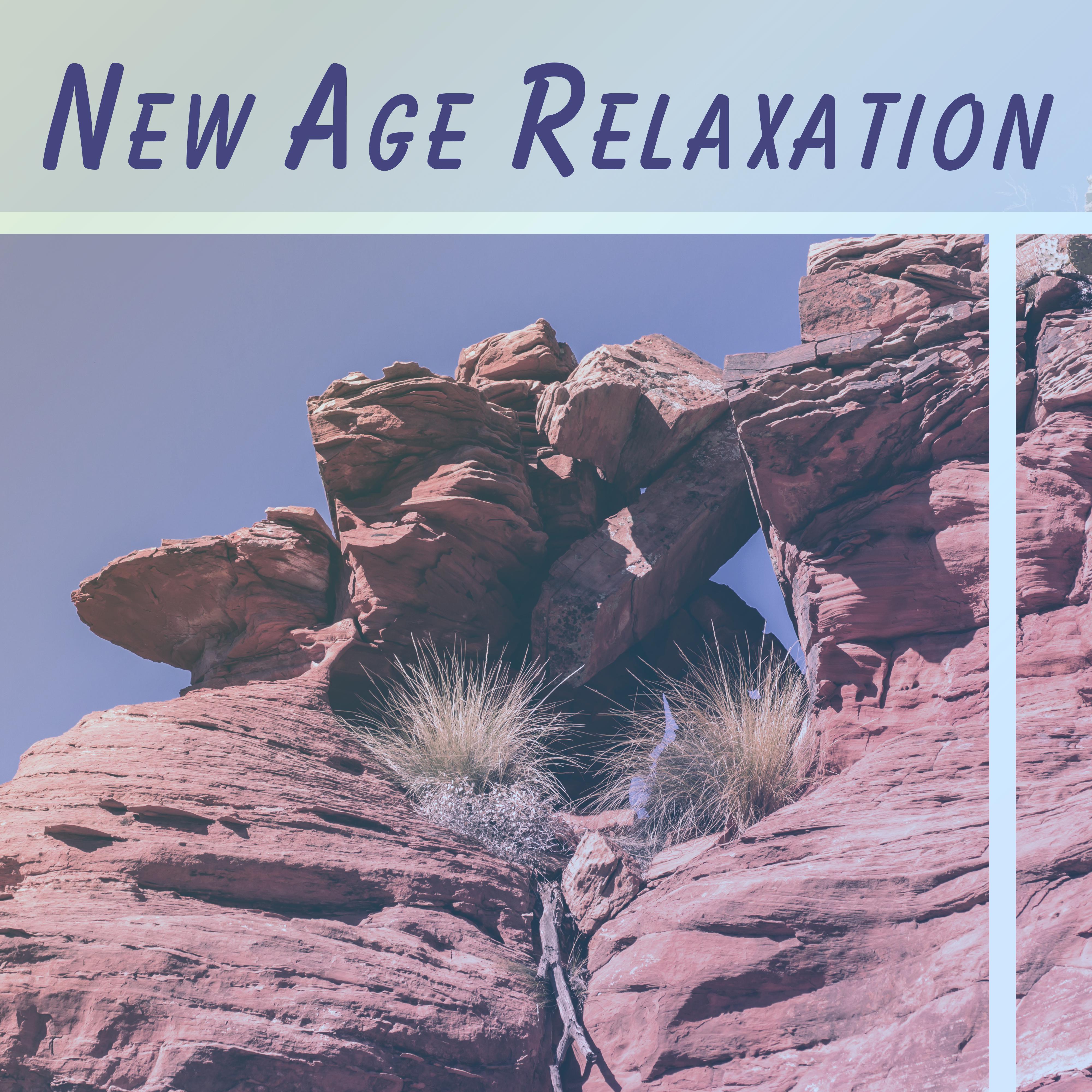 New Age Relaxation  Nature Sounds to Rest, Stress Relief, Forest Music, Sounds of Birds, Peaceful Music for Relax, Deep Sleep