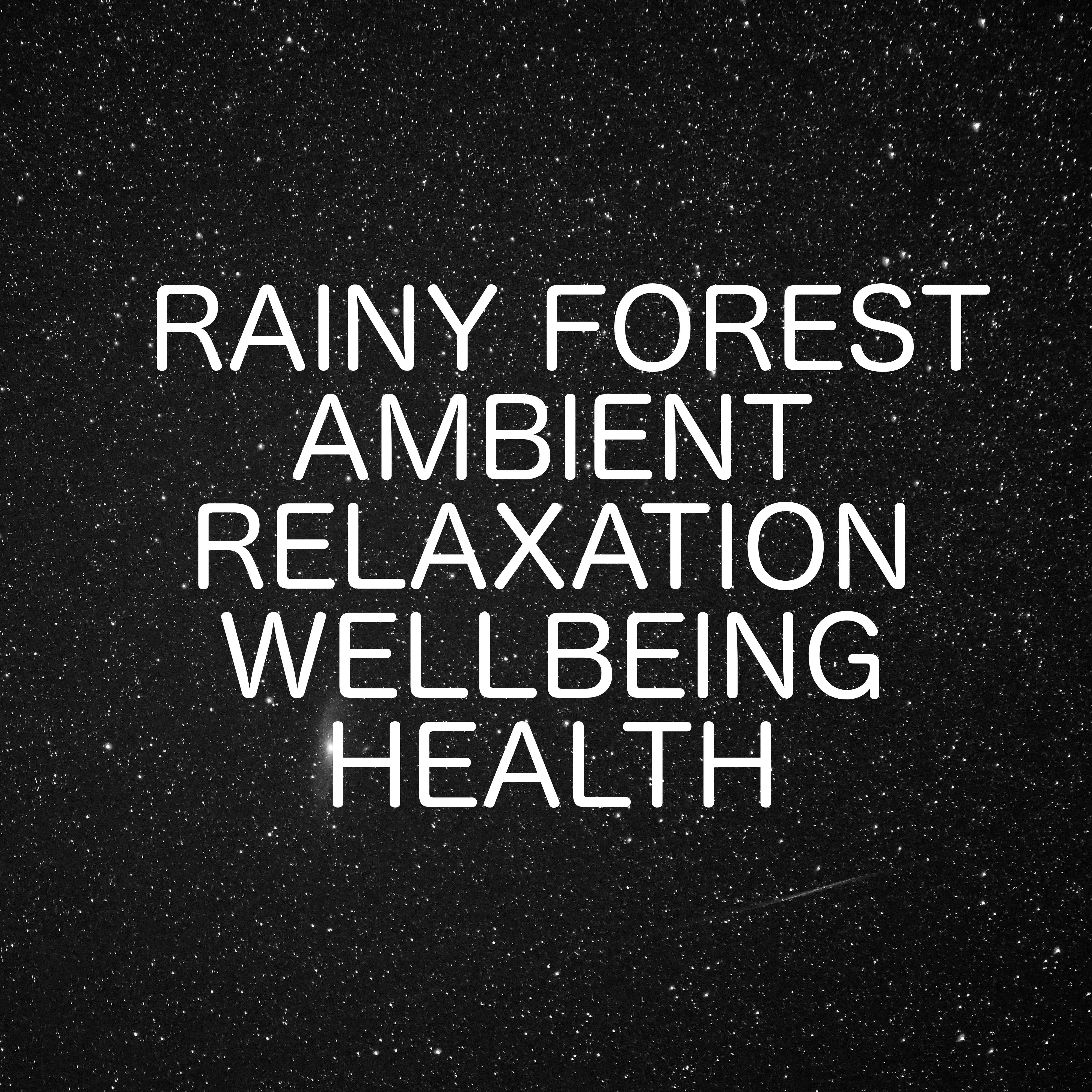 Forest Rain - Ambient Relaxation Wellbeing Health