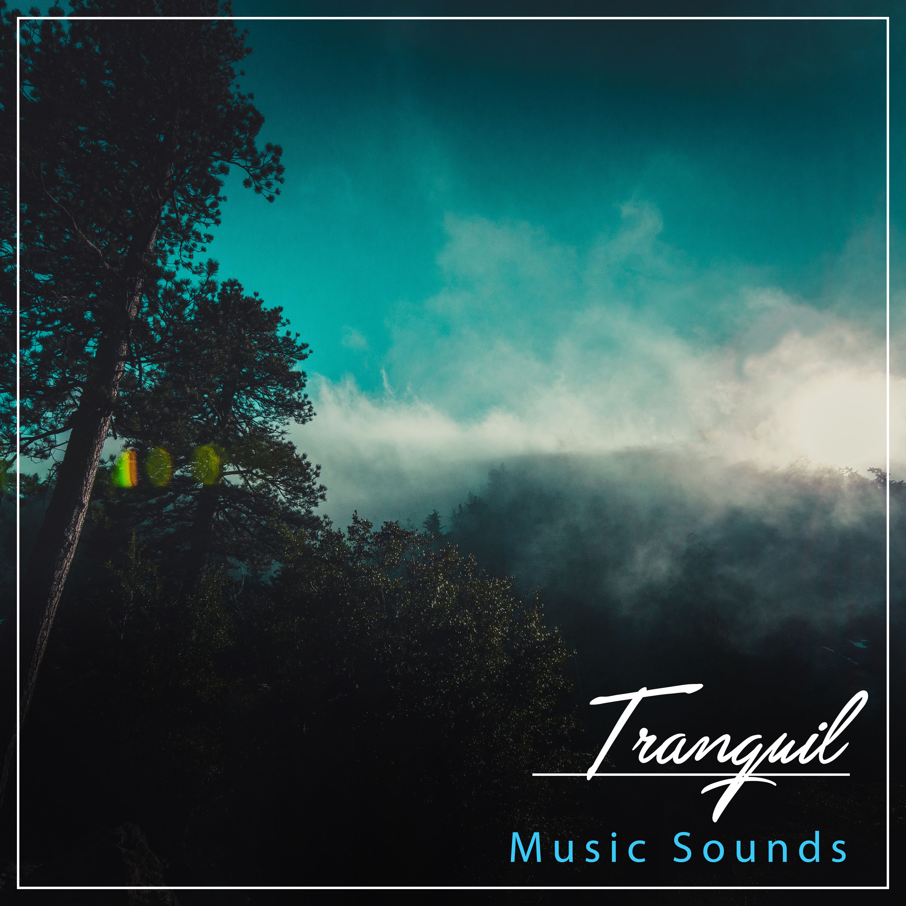 #19 Tranquil Music Sounds for Yoga, Zen and Meditation
