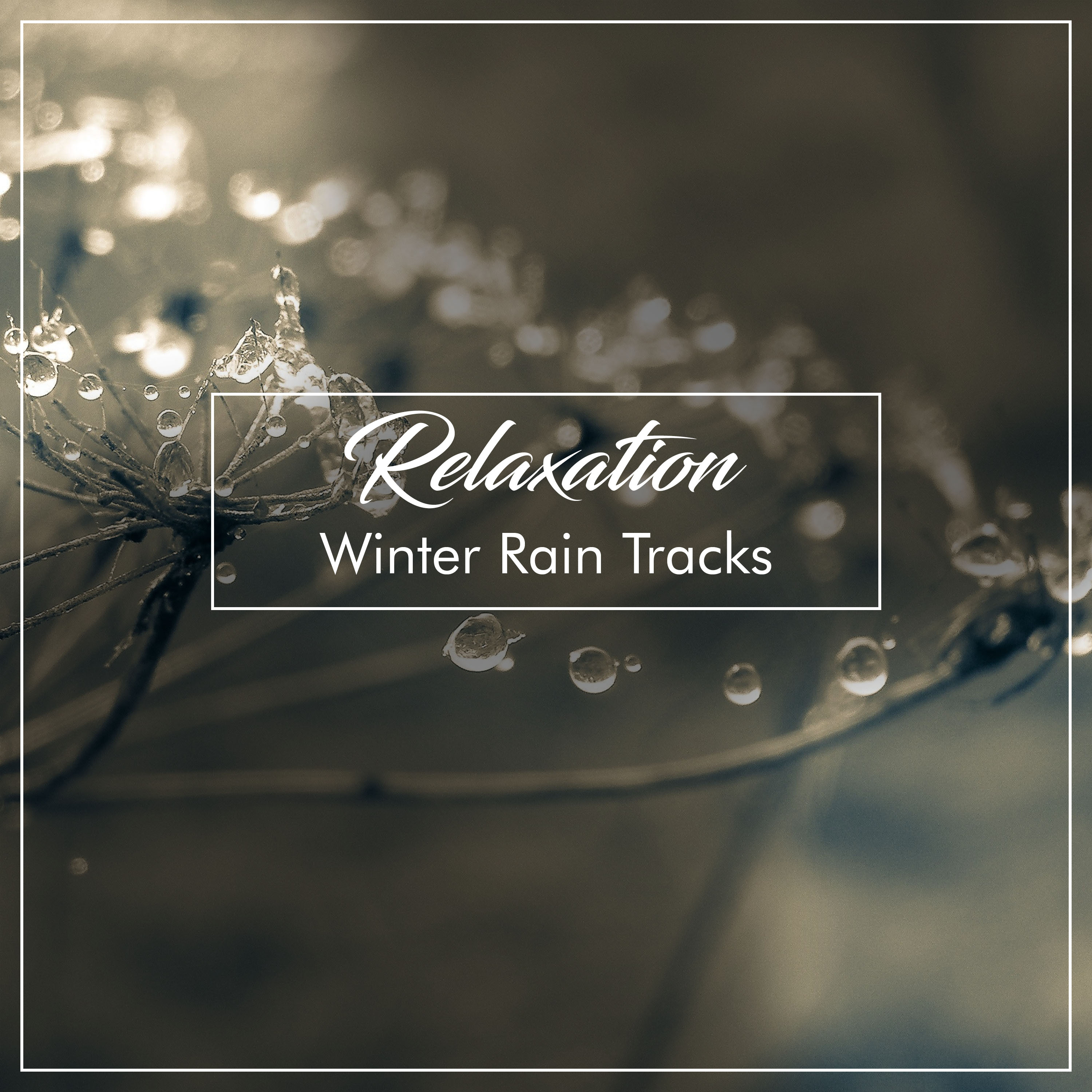 #1 Hour of Relaxation Winter Rain Tracks