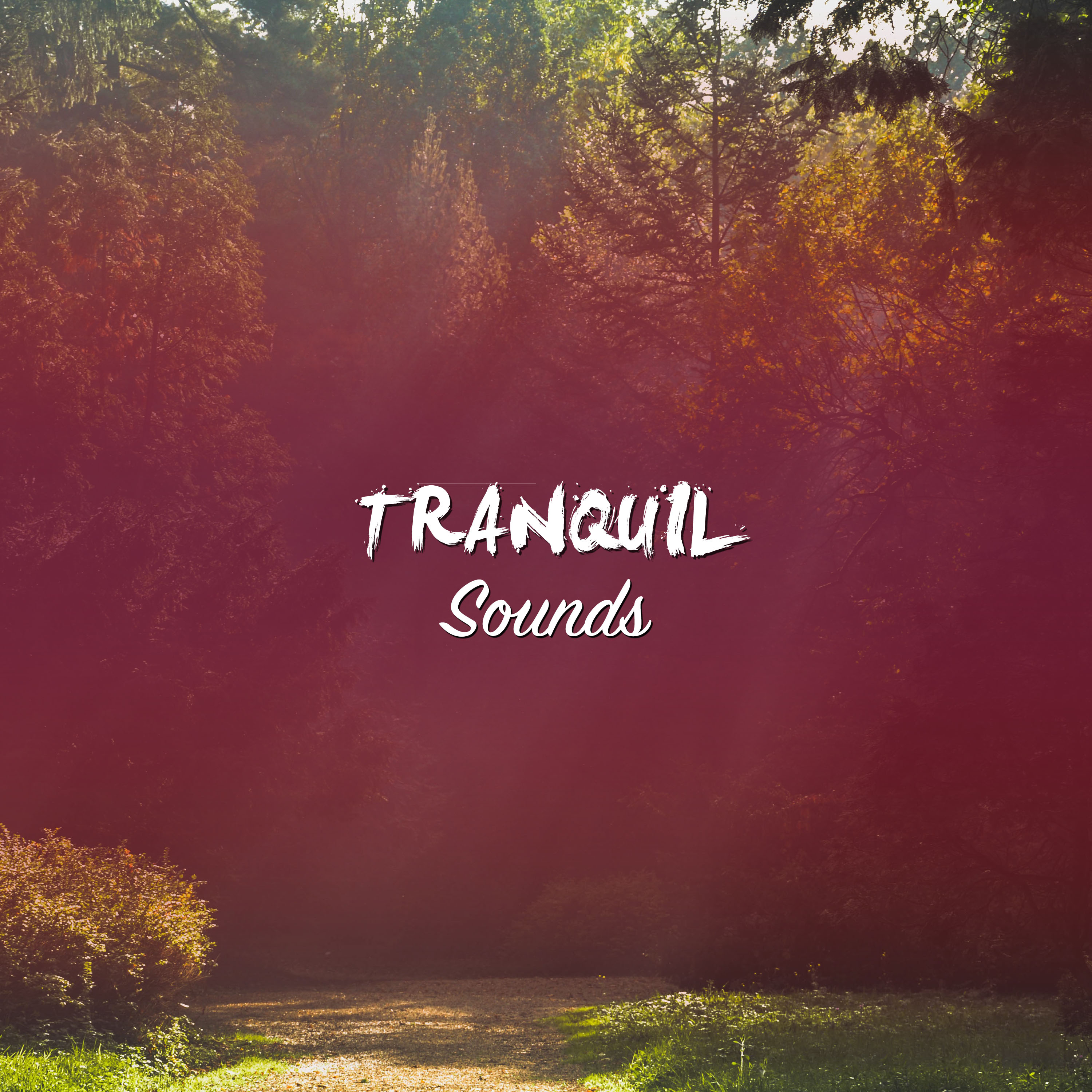 #11 Tranquil Sounds for Yoga, Zen and Meditation