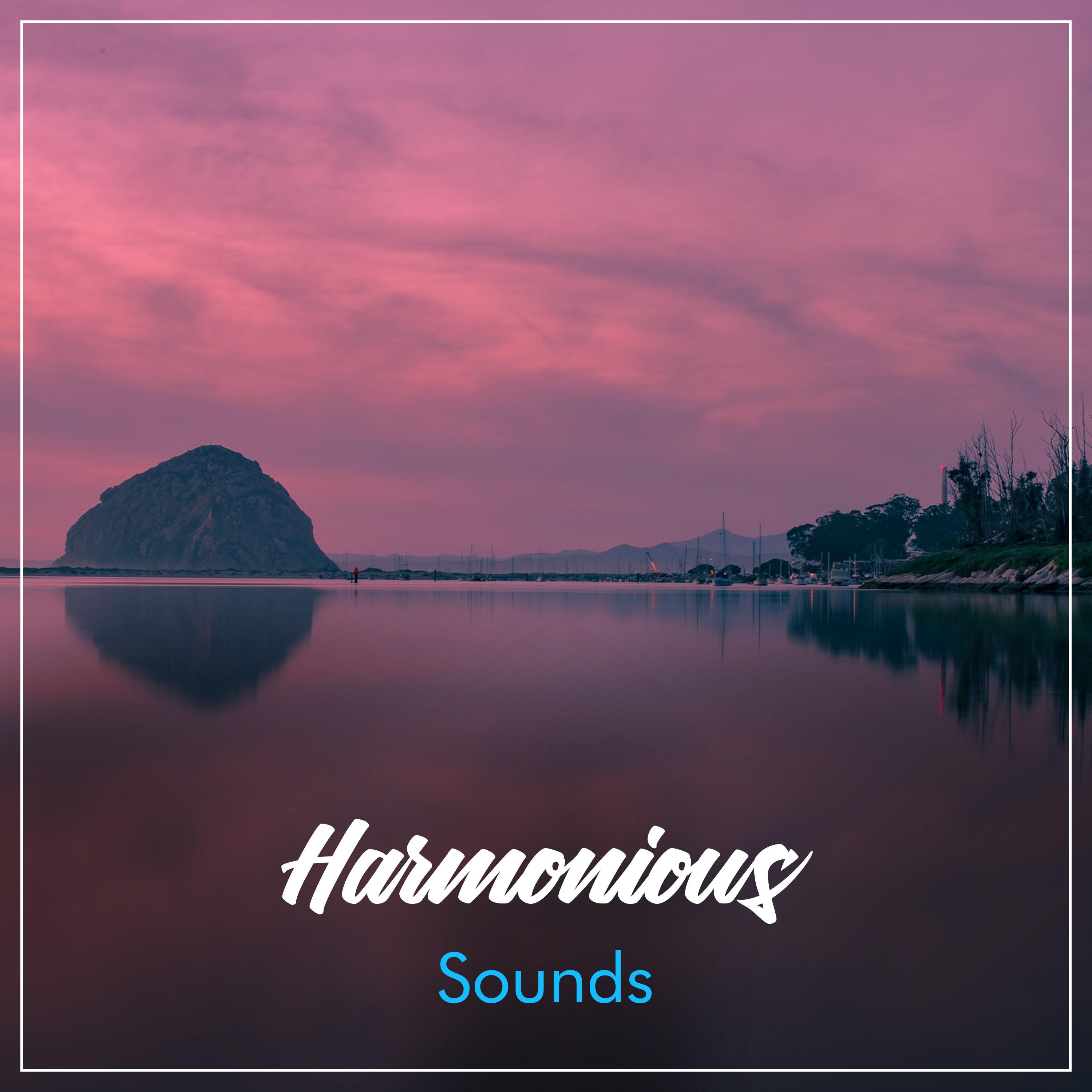 #14 Harmonious Sounds for Zen Relaxation & Meditation