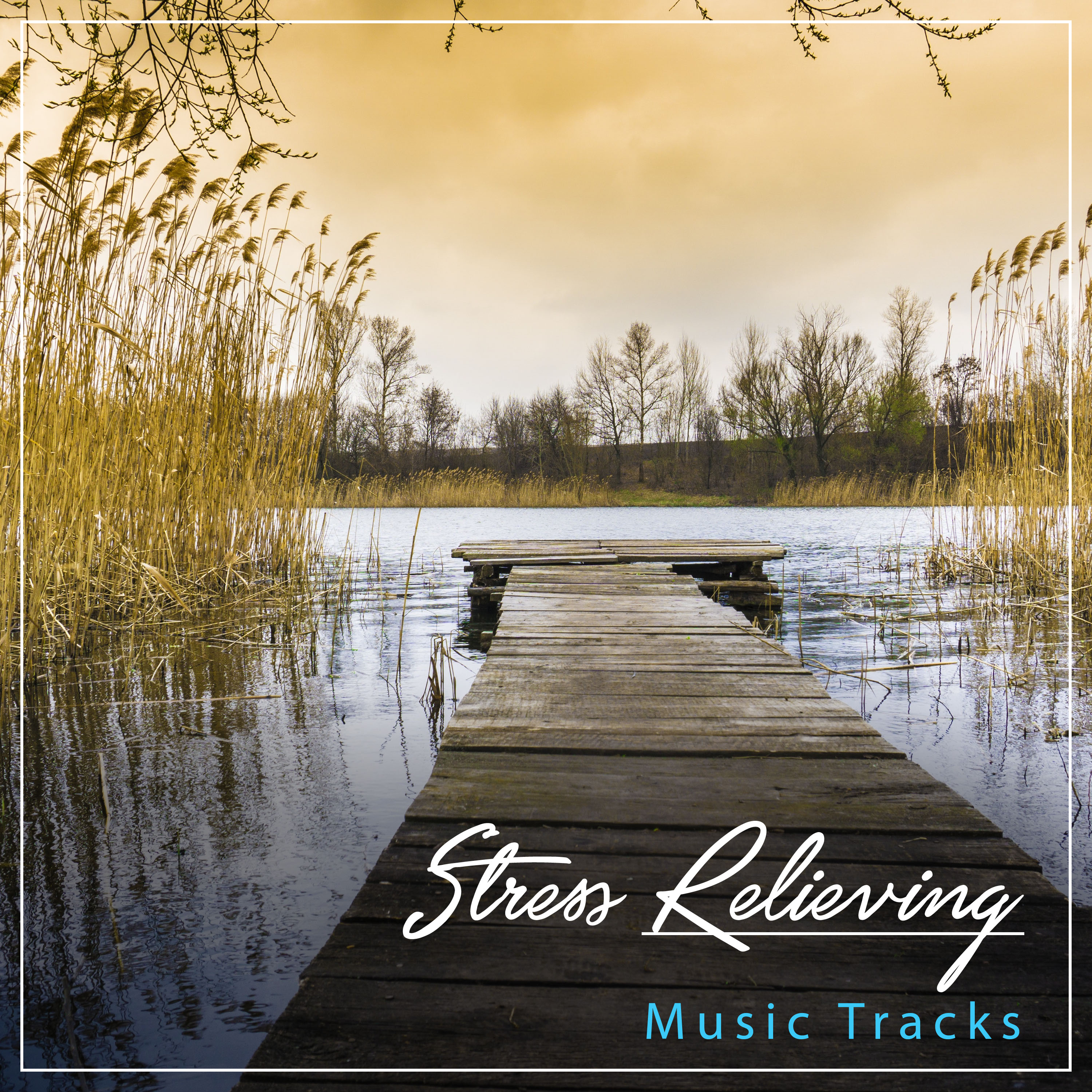 #19 Stress Relieving Music Tracks for Sleep and Relaxation