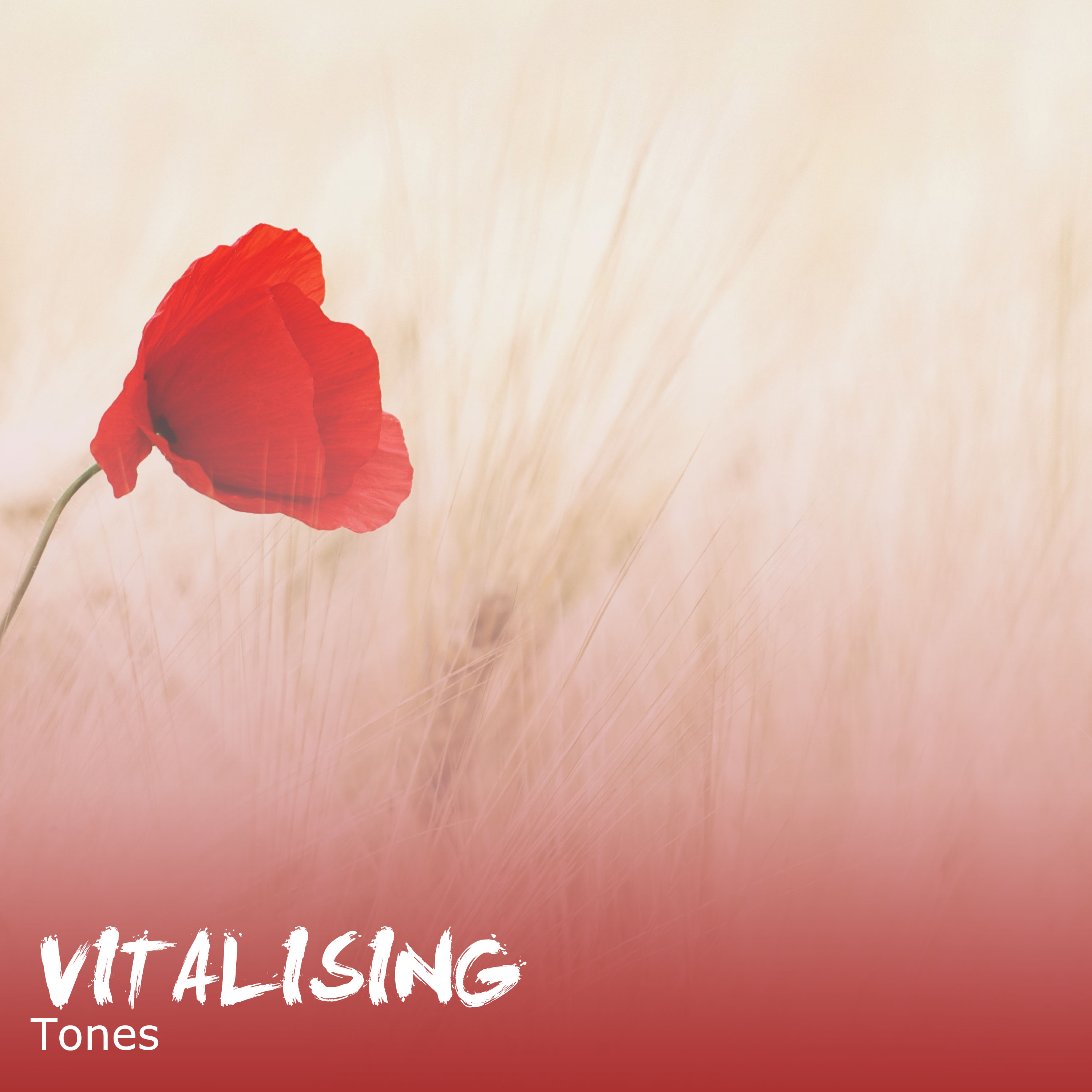 #12 Vitalising Tones to Aid Relaxation & Massage