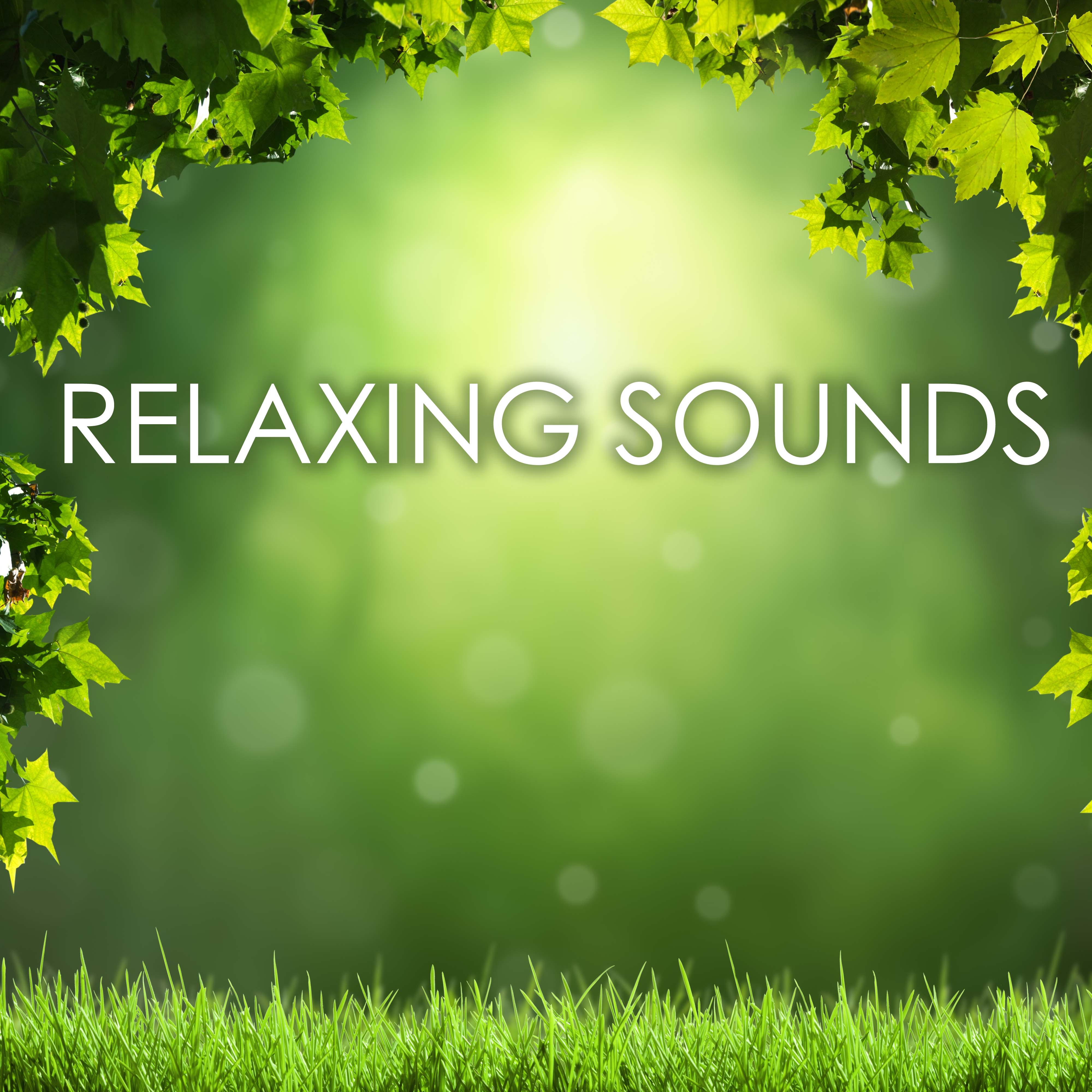 Relaxing Sounds Zen Ambience - Keep Calm & Anxiety Free