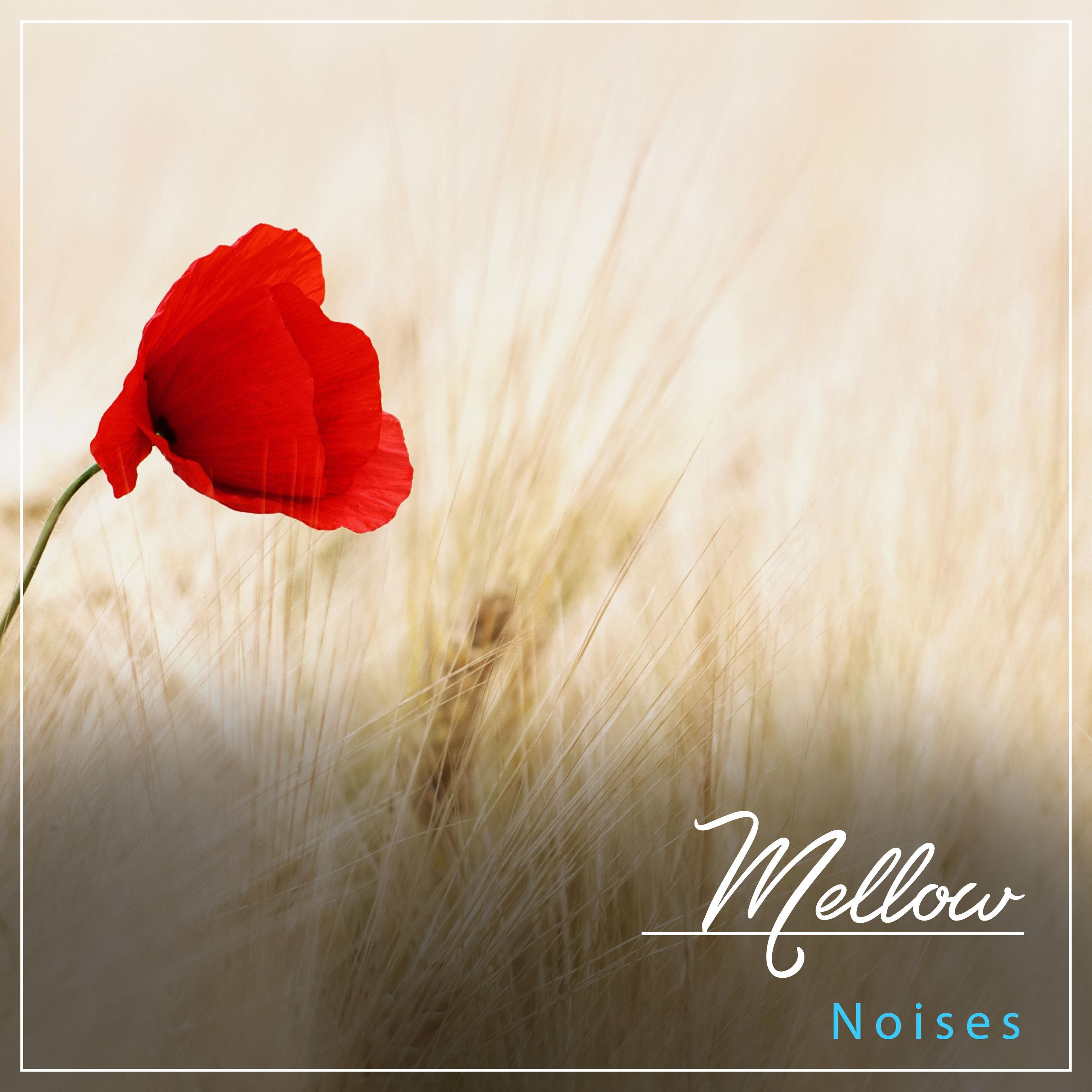 #11 Mellow Noises to Aid Relaxation & Massage