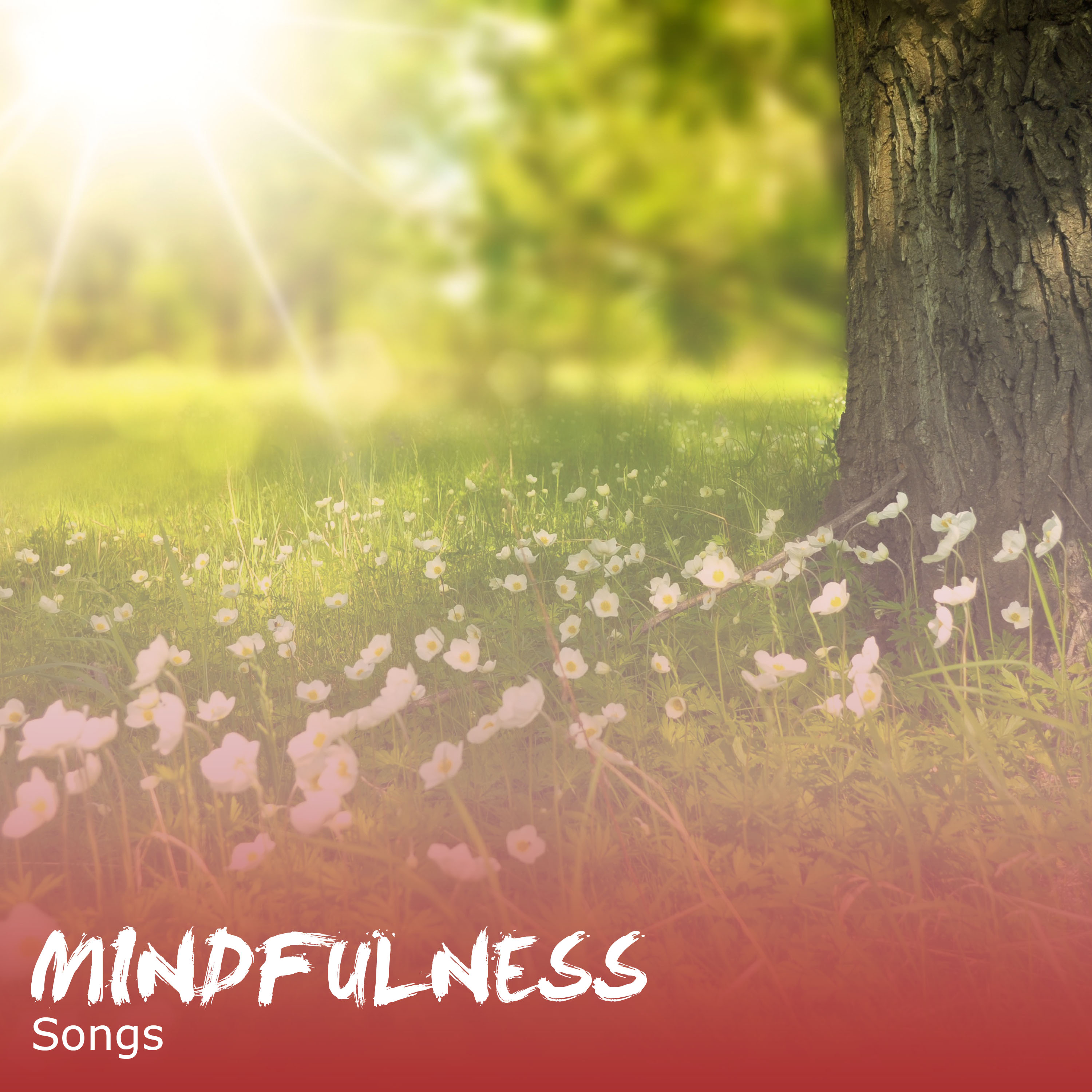 #12 Mindfulness Songs for Zen Relaxation & Meditation
