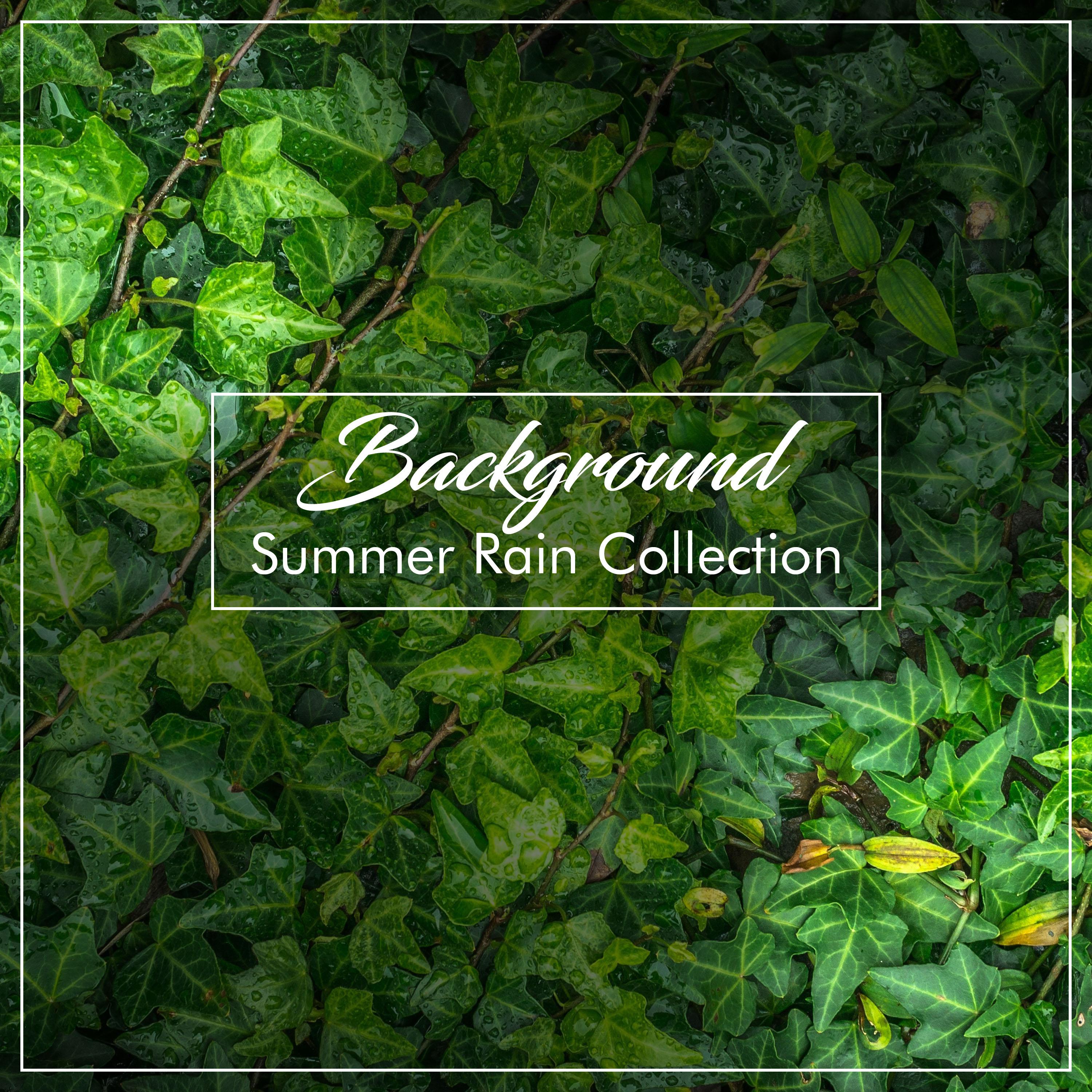 #18 Background Summer Rain Collection