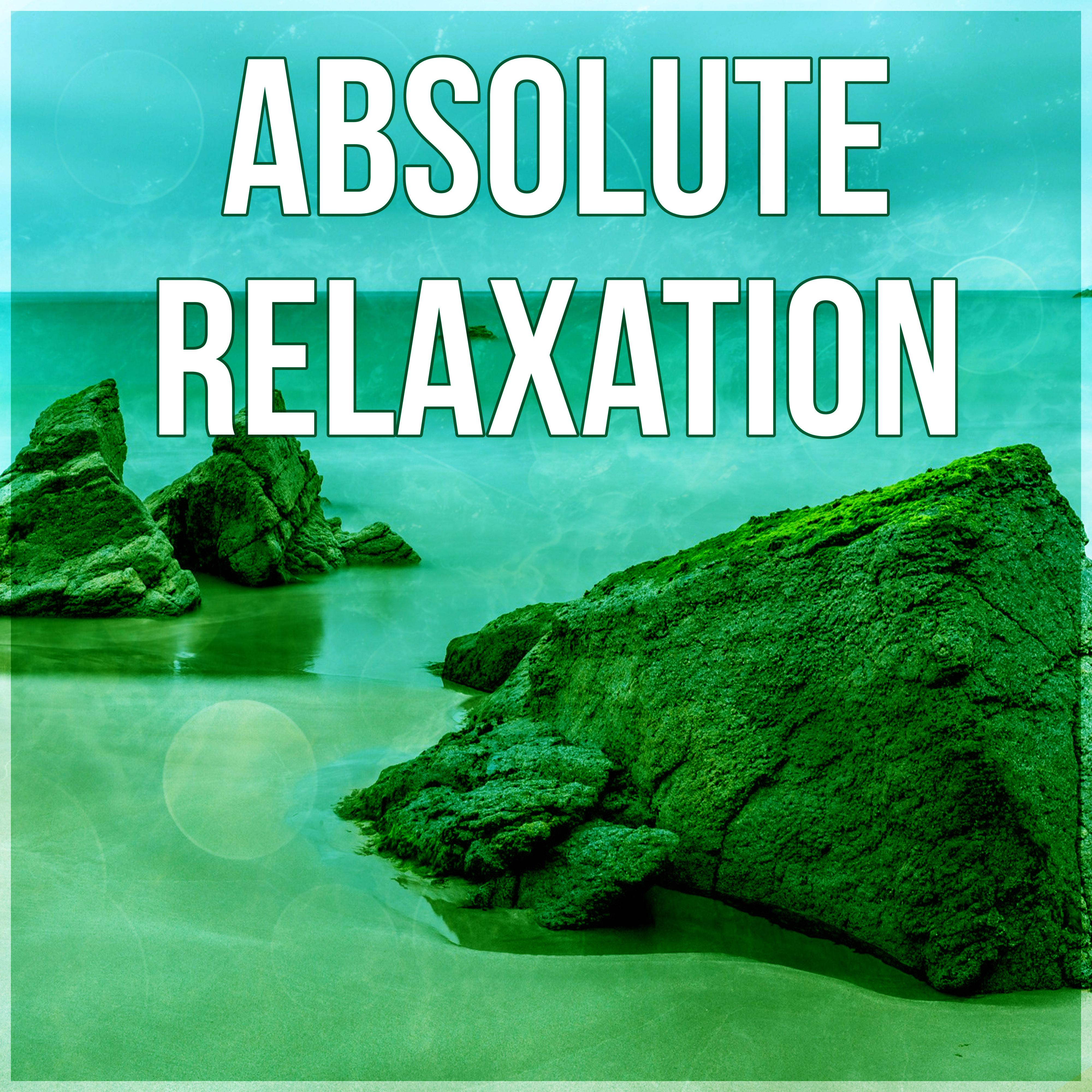 Absolute Relaxation - Ocean Waves, White Noise, Hypnotherapy, Music Therapy, The Best of Relaxing Nature Sounds