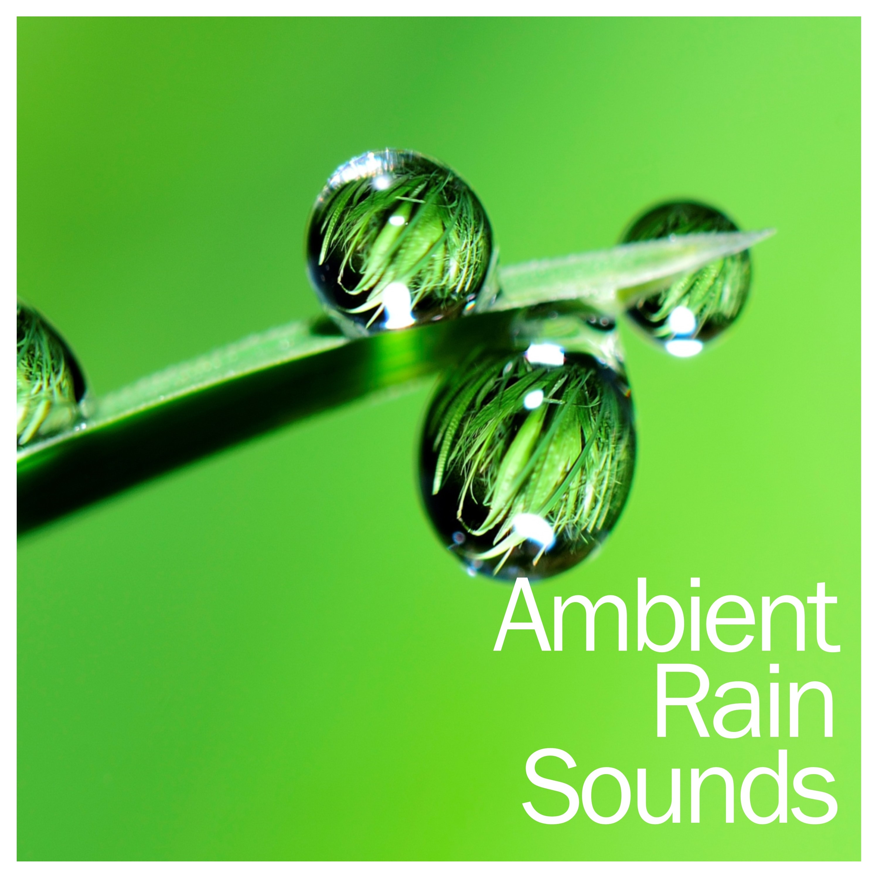 14 Ambient Rain Sounds - Calming Sounds of Mother Nature