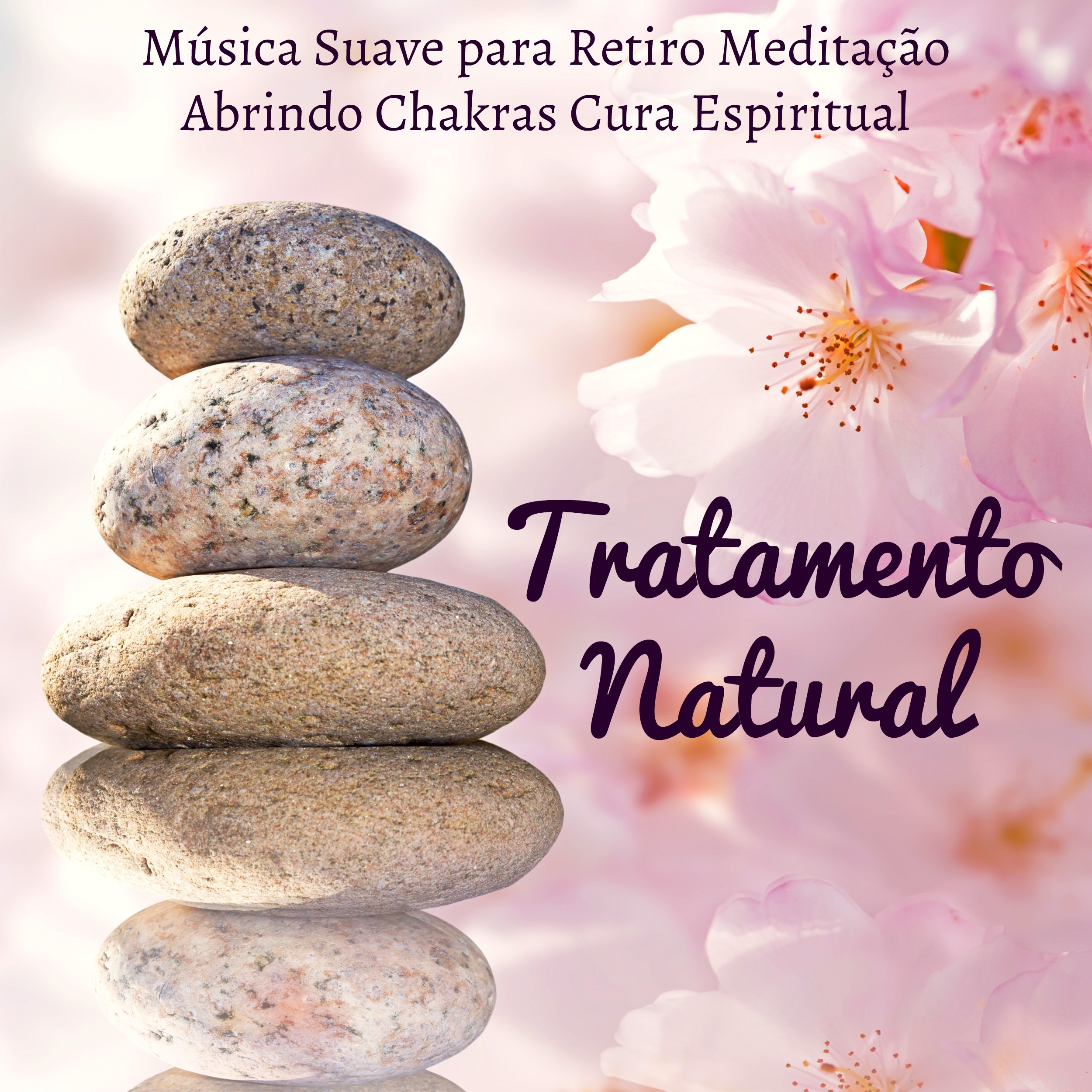 Tratamento Natural  Mu sica Suave para Retiro Medita o Abrindo Chakras Cura Espiritual com Sons New Age da Natureza