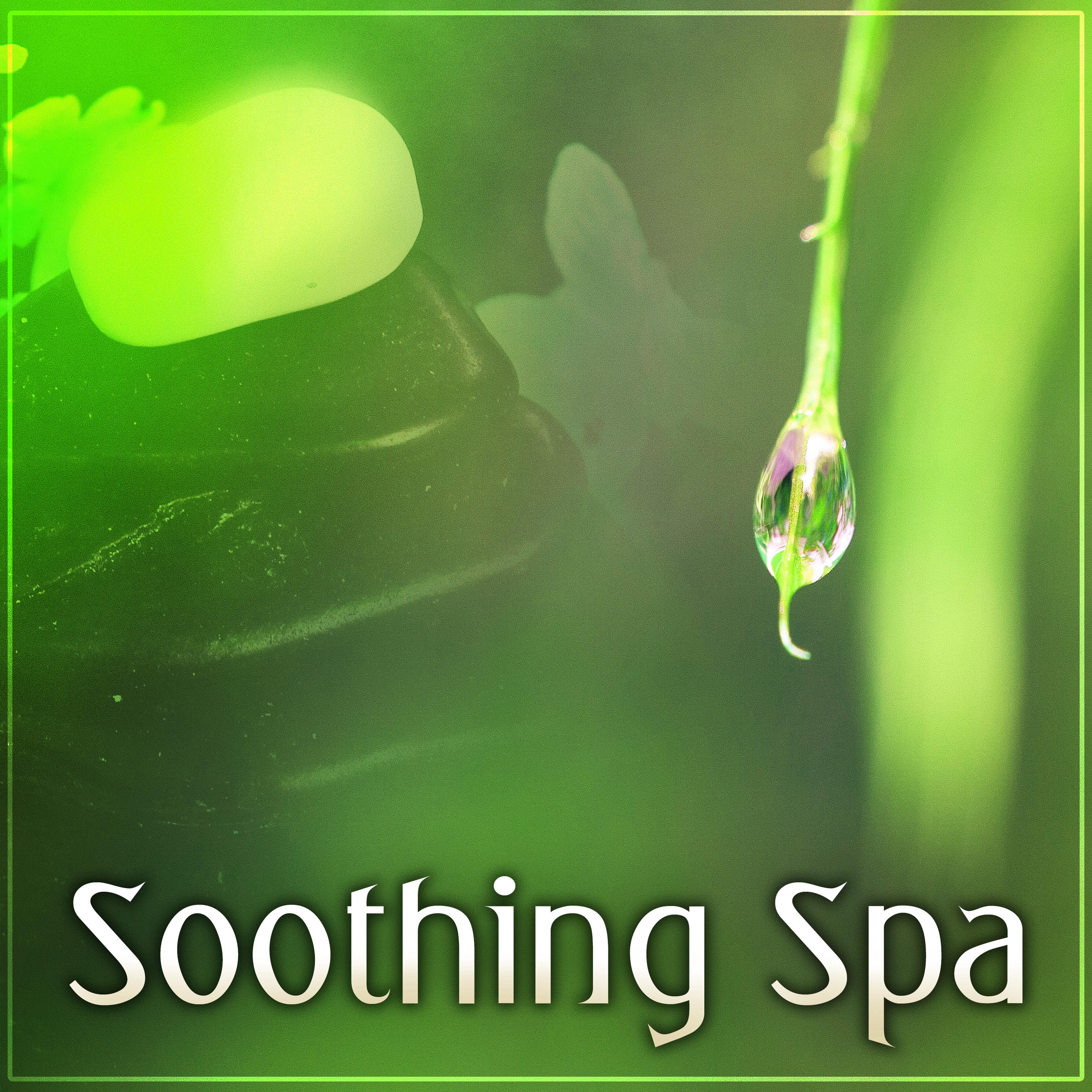 Soothing Spa  Calm Spa, Soothing Spa, Relaxation During Beauty Day