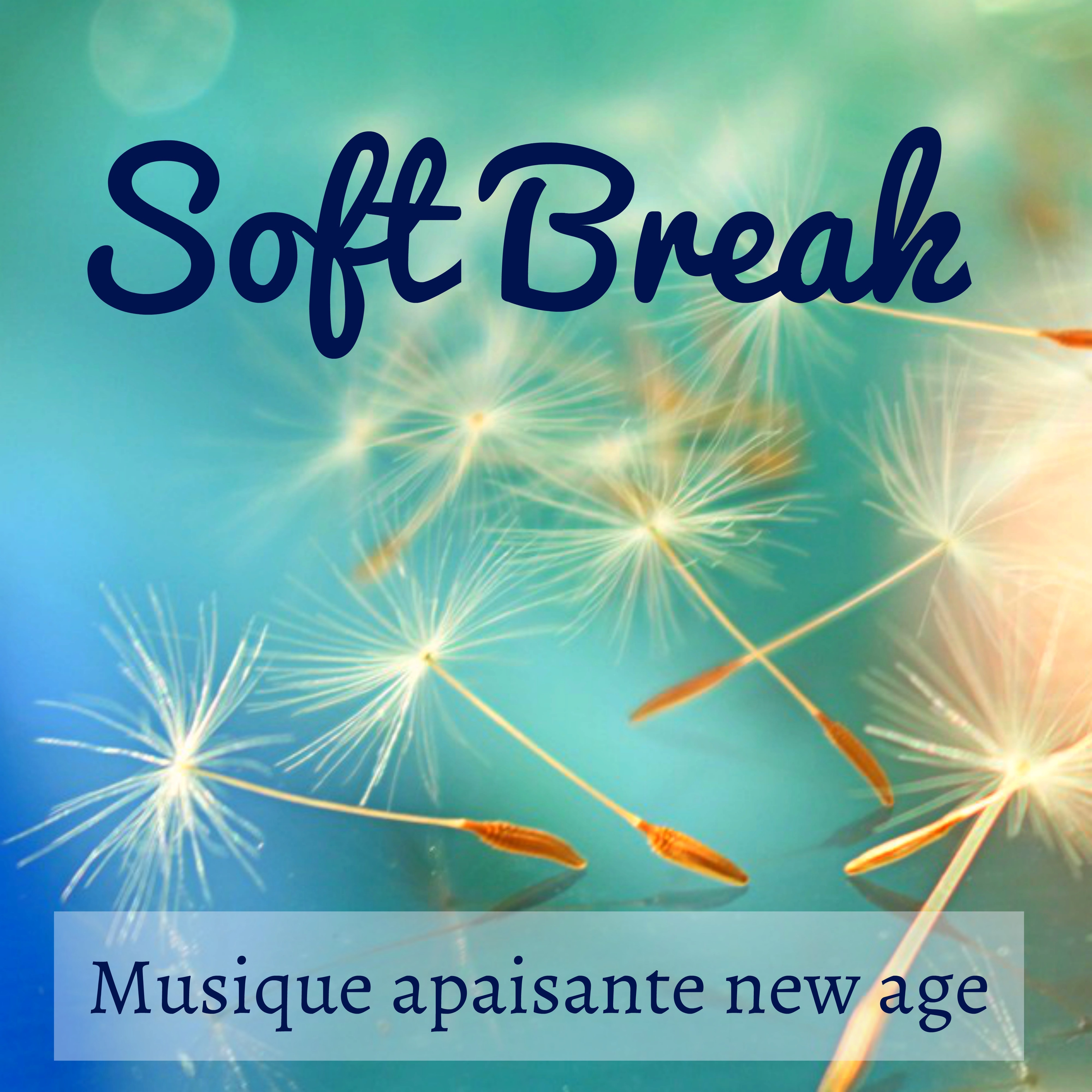 Soft Break  Musique apaisante new age pour re solution de proble me techniques de relaxation sante et bien tre avec sons de la nature instrumentaux binauraux